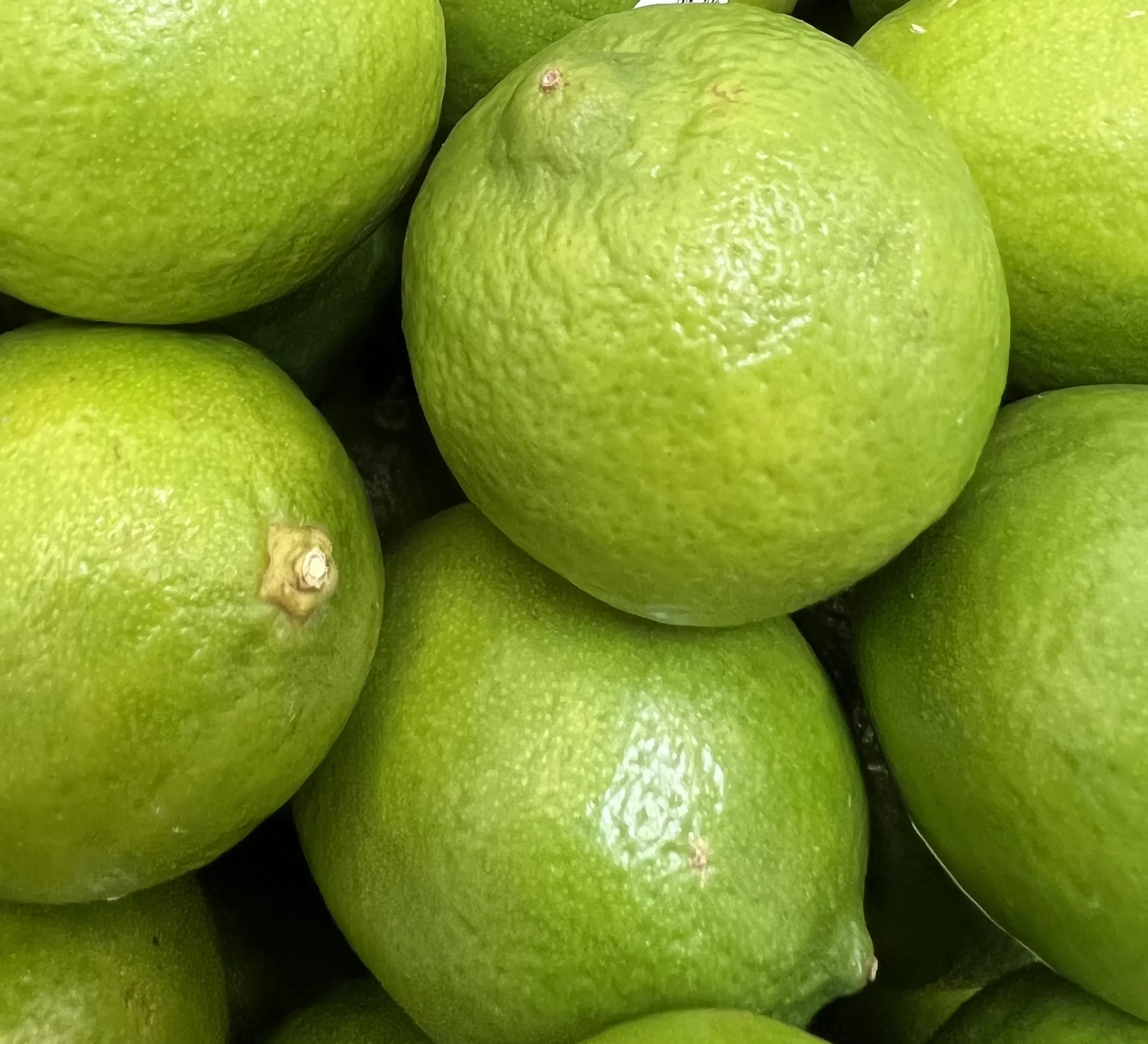 Tropical Fruit