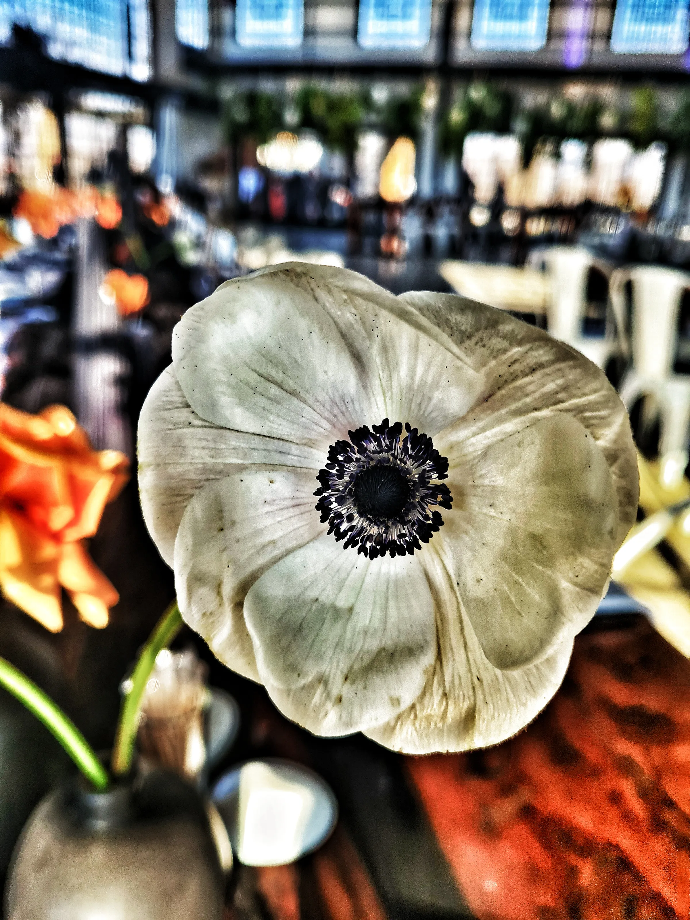 Flowers with Fun Editing Effects (in colour)