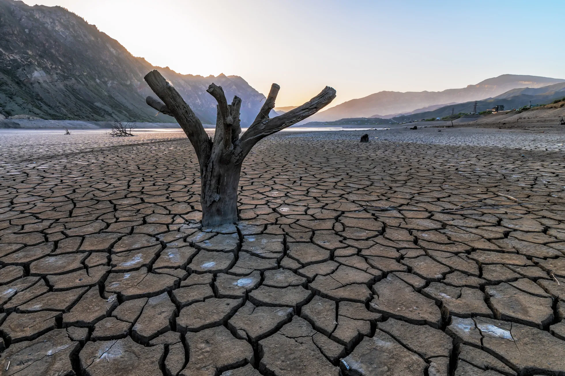 Heatwaves and Drought