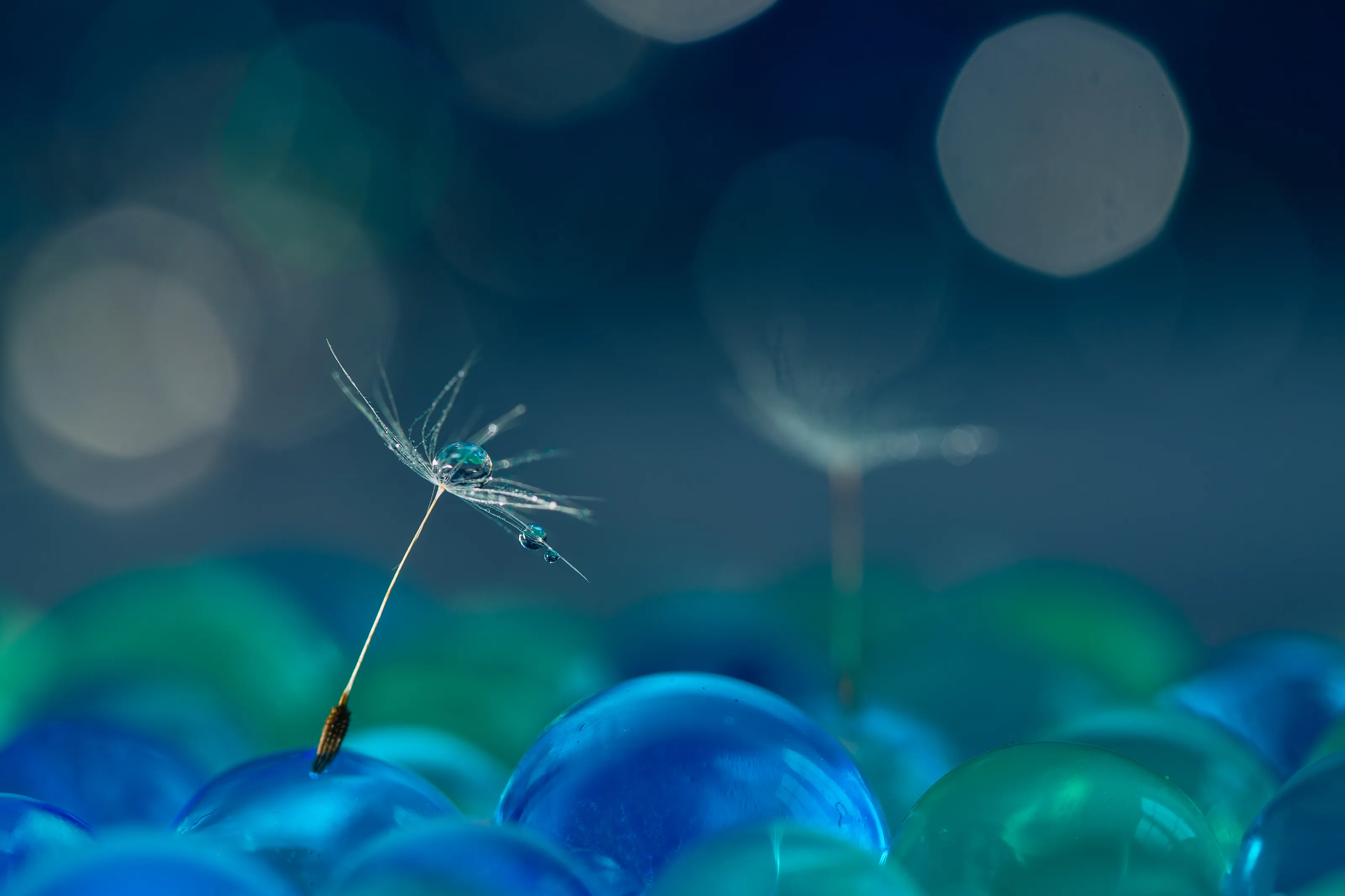Bokeh