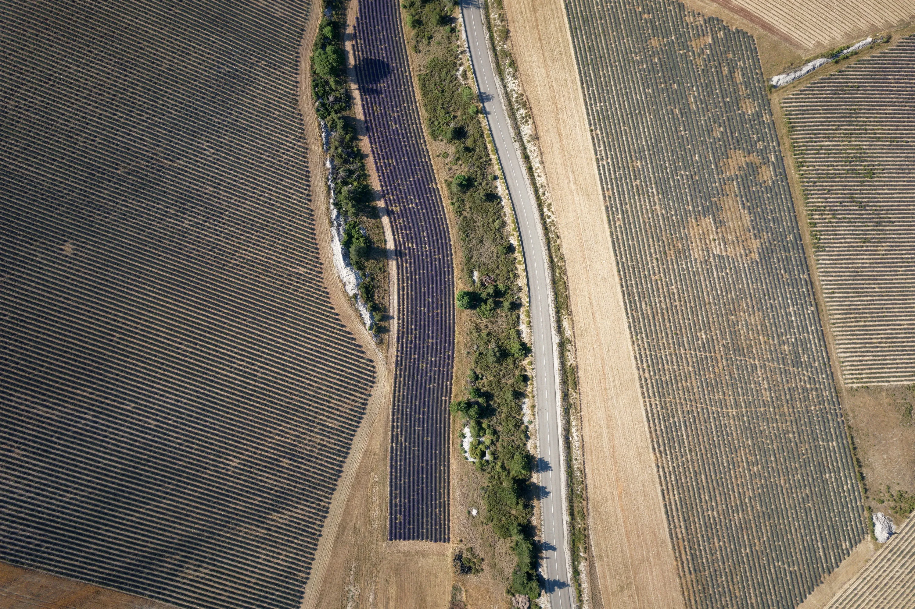Landscapes from Above