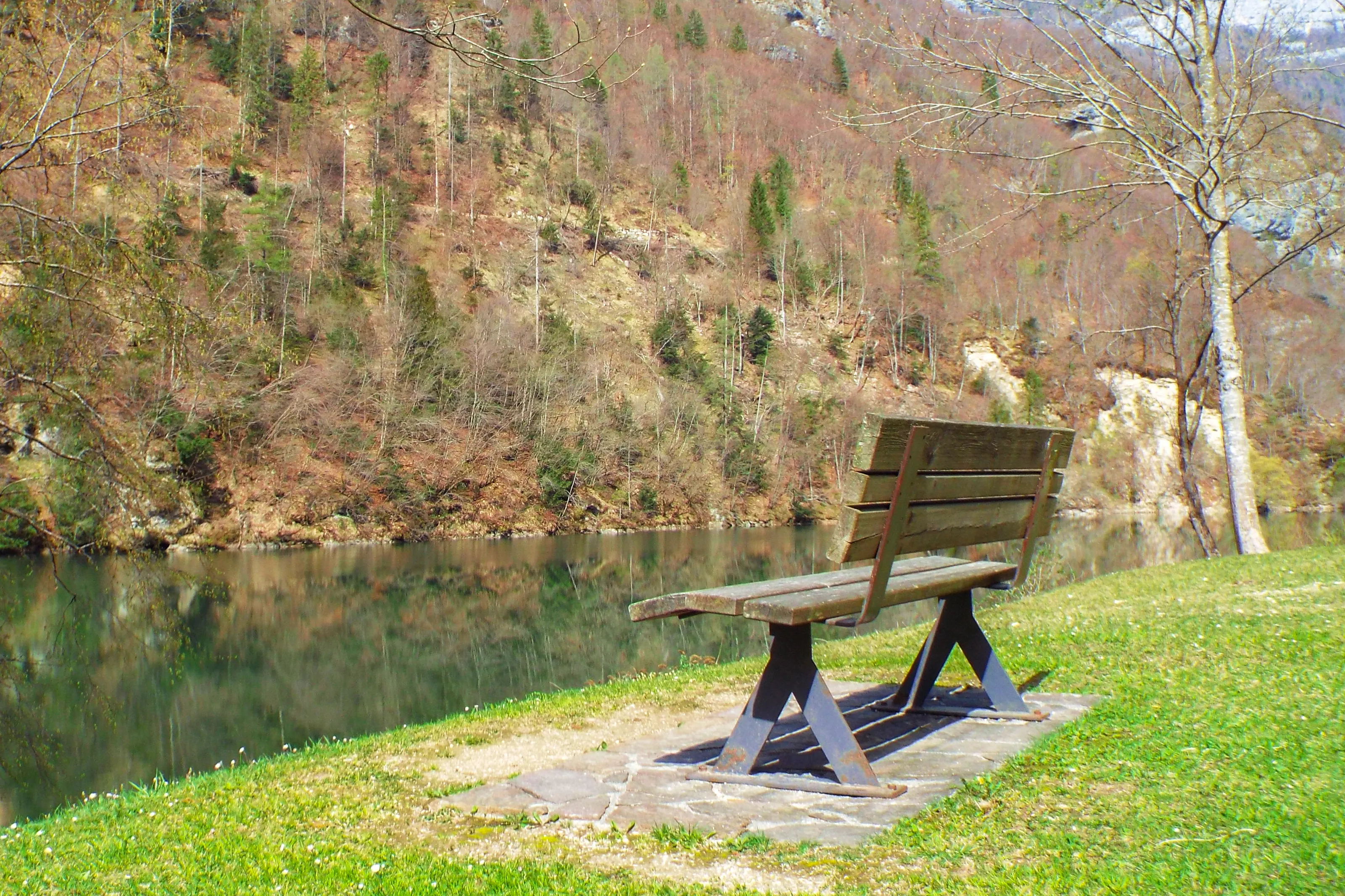 Empty Benches