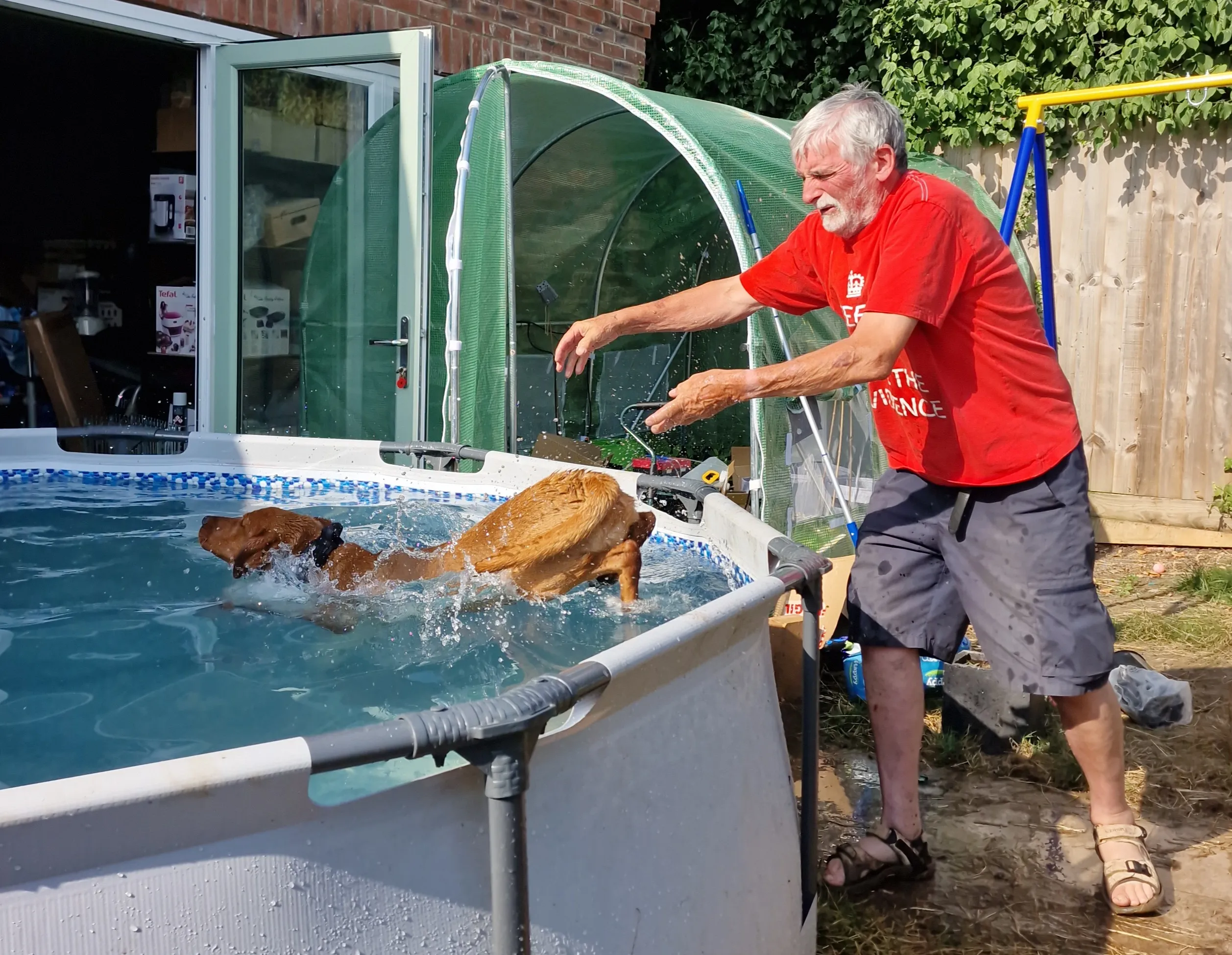 Dogs and People Together in Action with Water