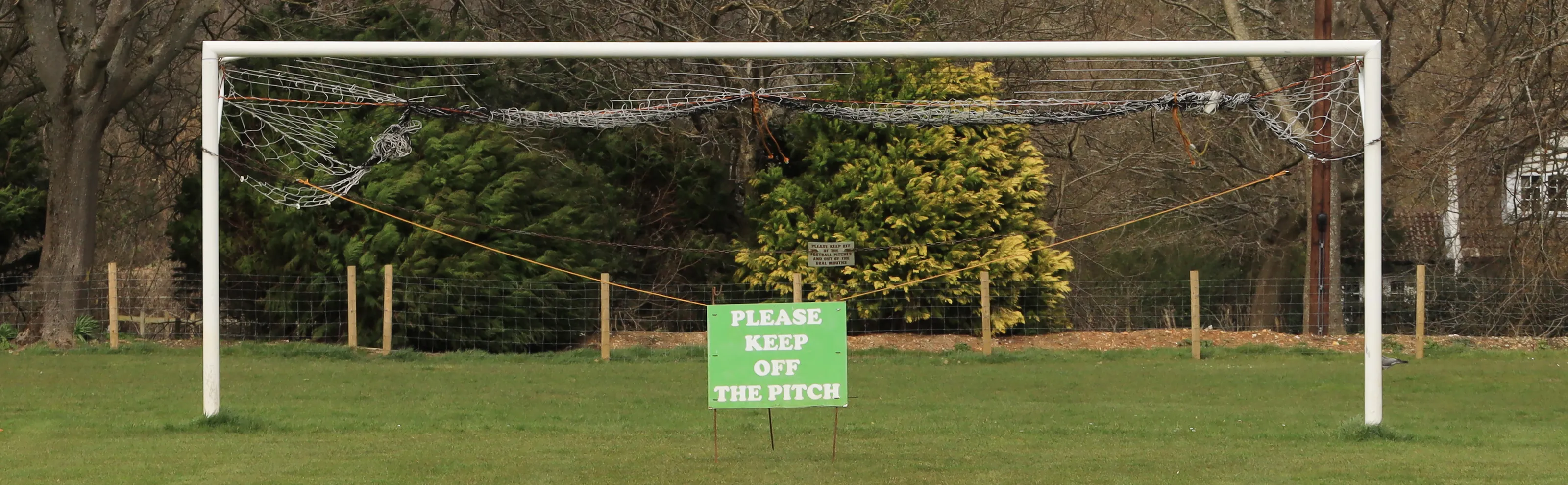 Empty Goals With No People