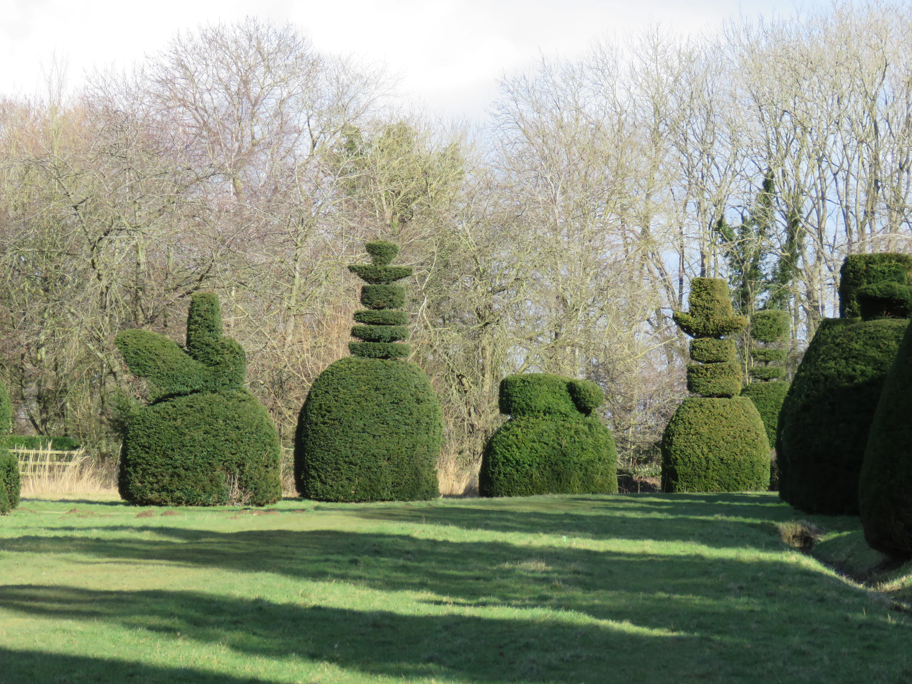 Topiary
