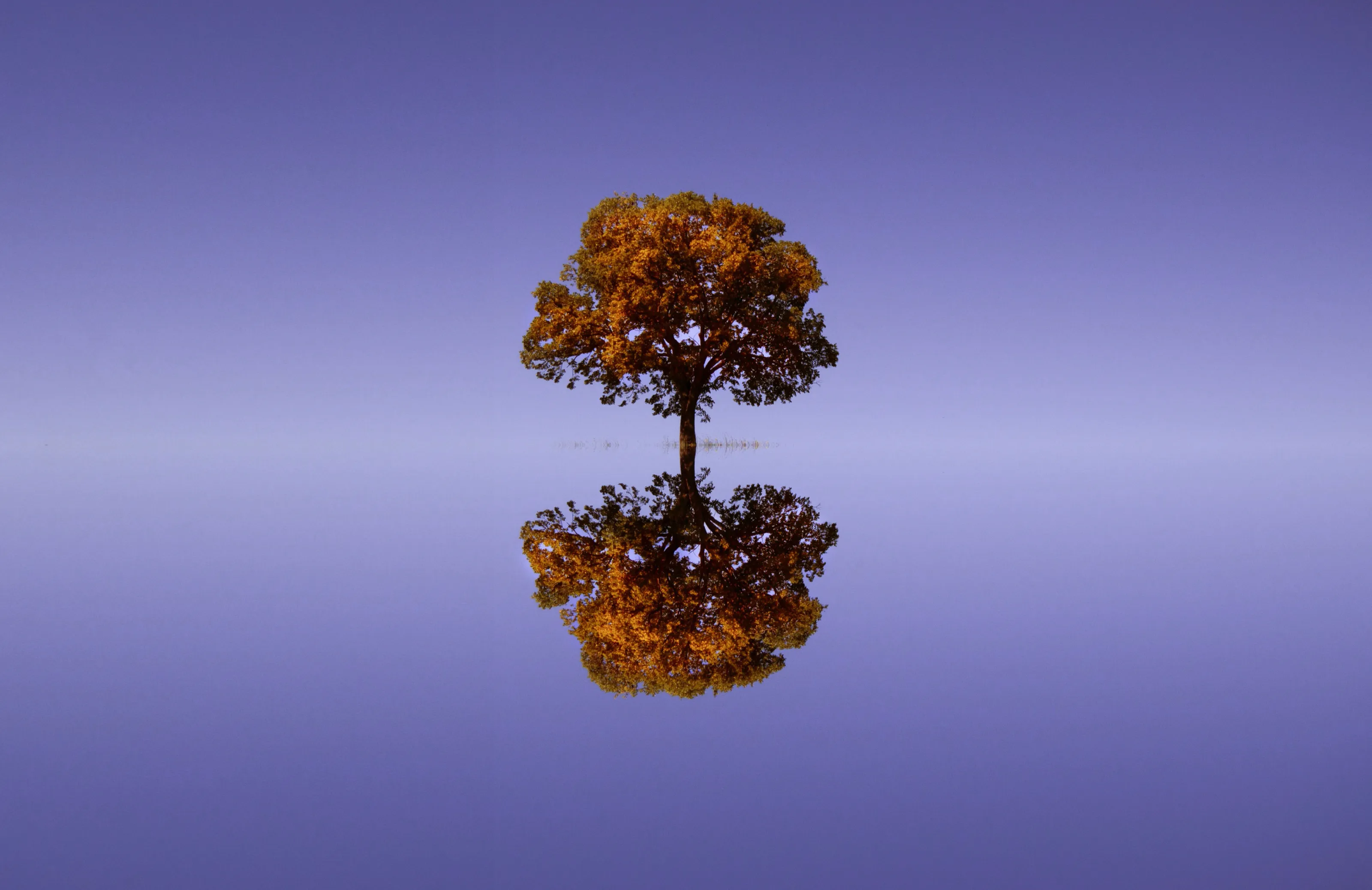 Two Colours Only (in colour)