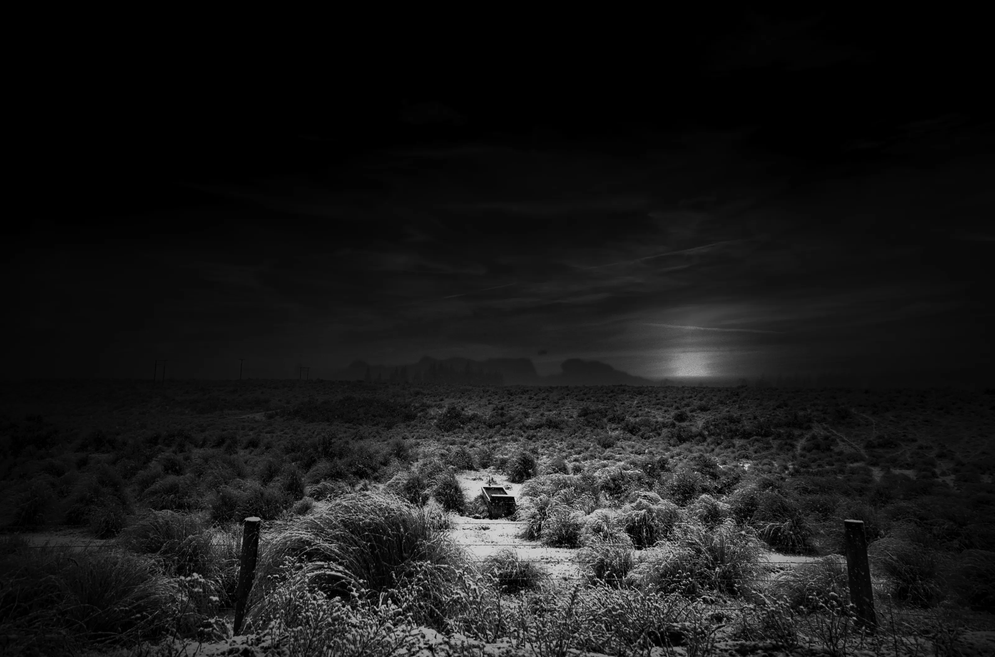 Black and White with Dominant Dark Tones