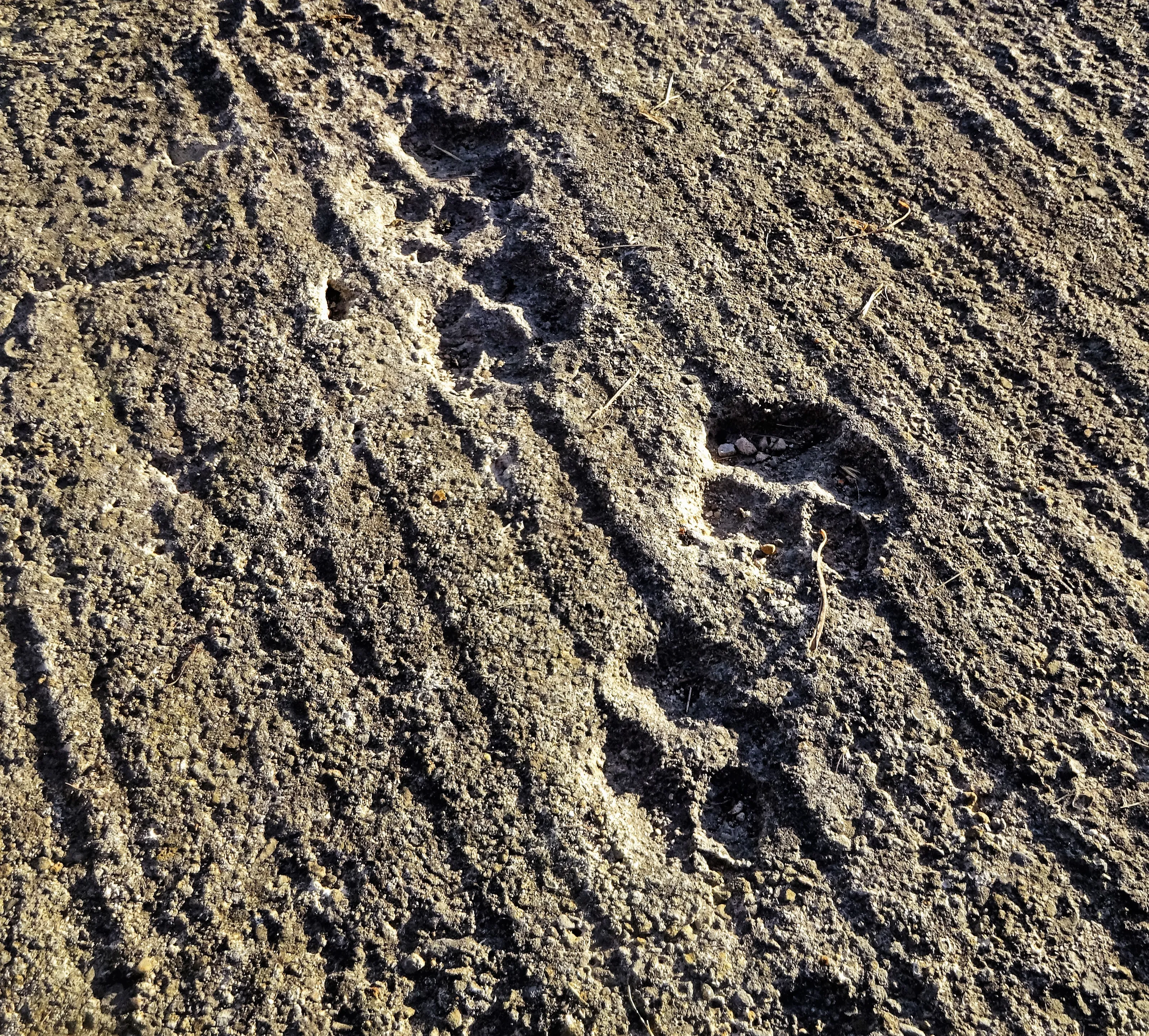 Footprints
