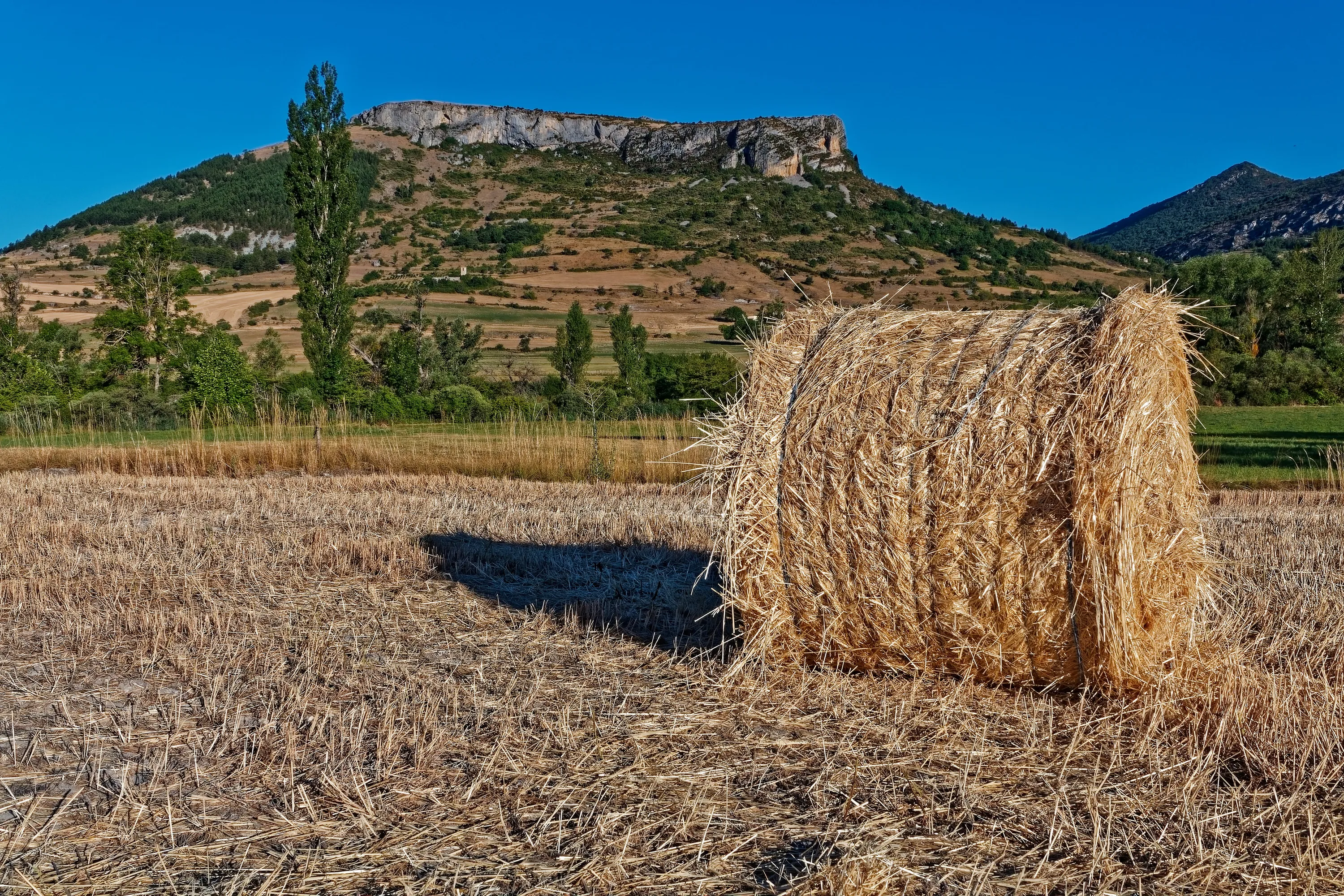 Dry Summer Landscapes (in colour)