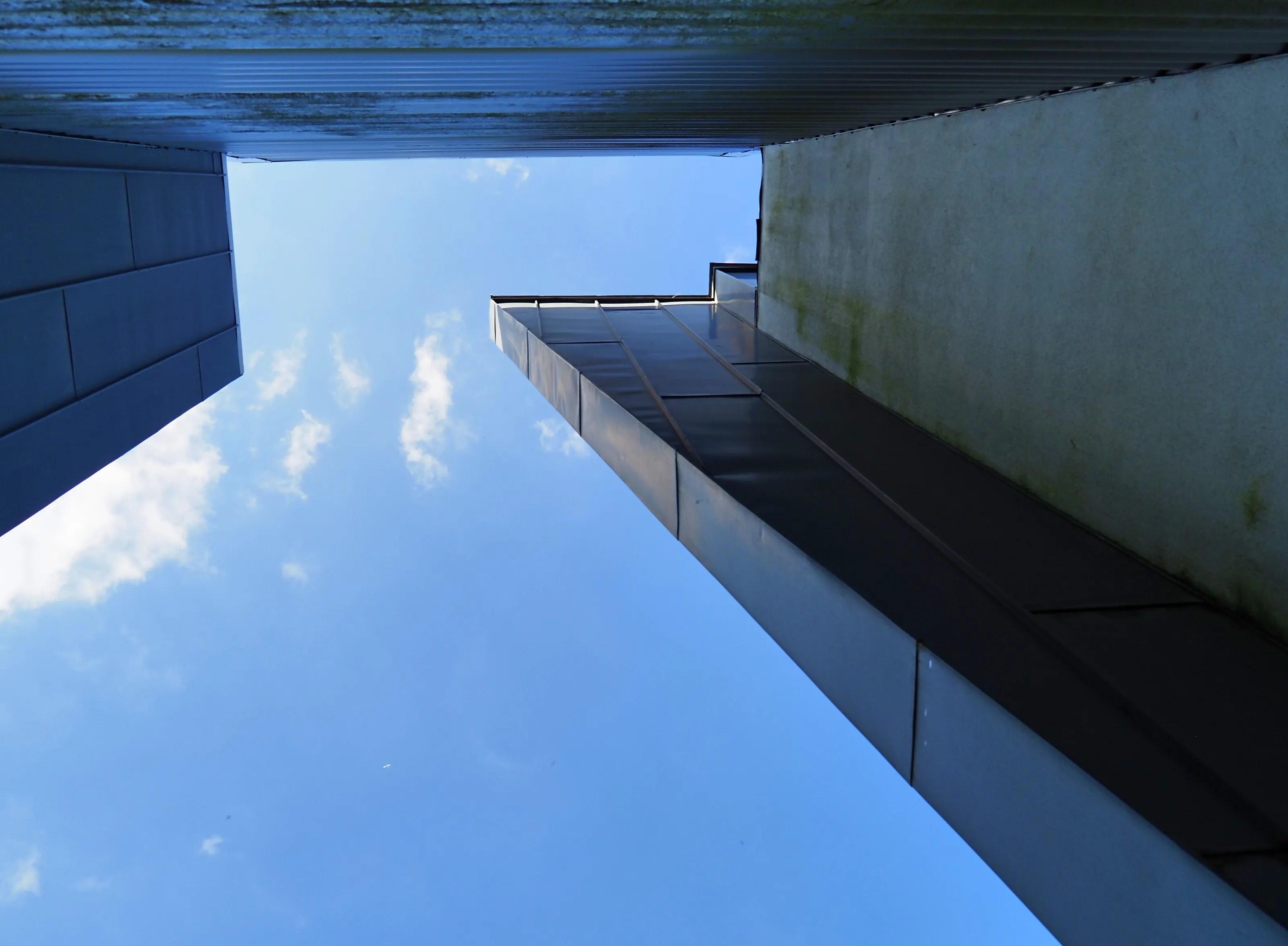 Shot from Below