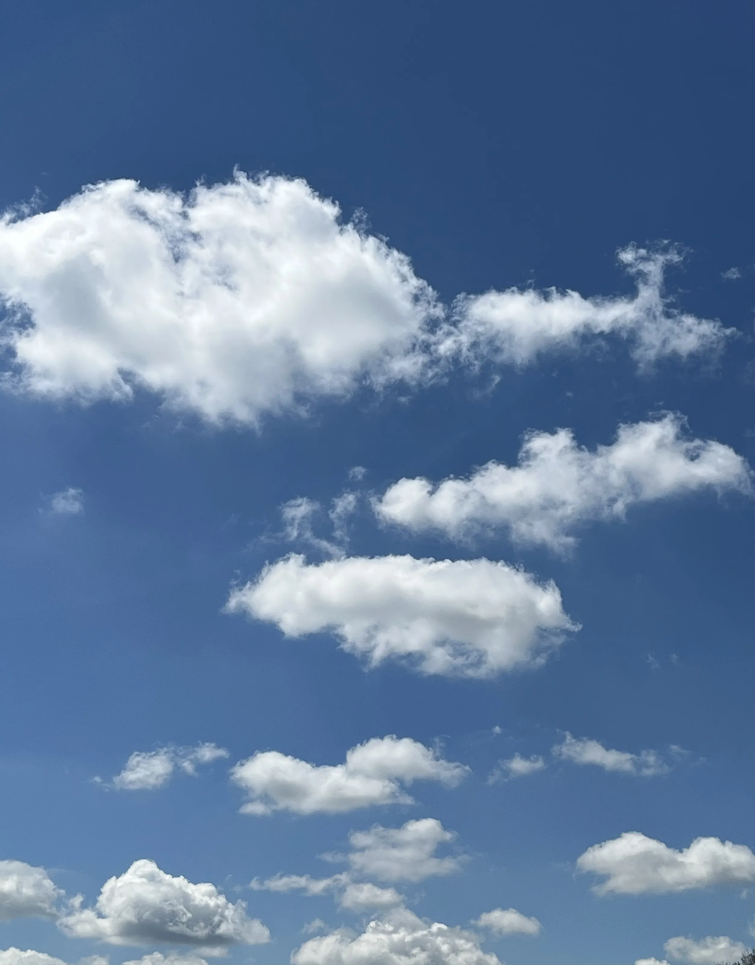 Only Puffy White Clouds in a Blue Sky
