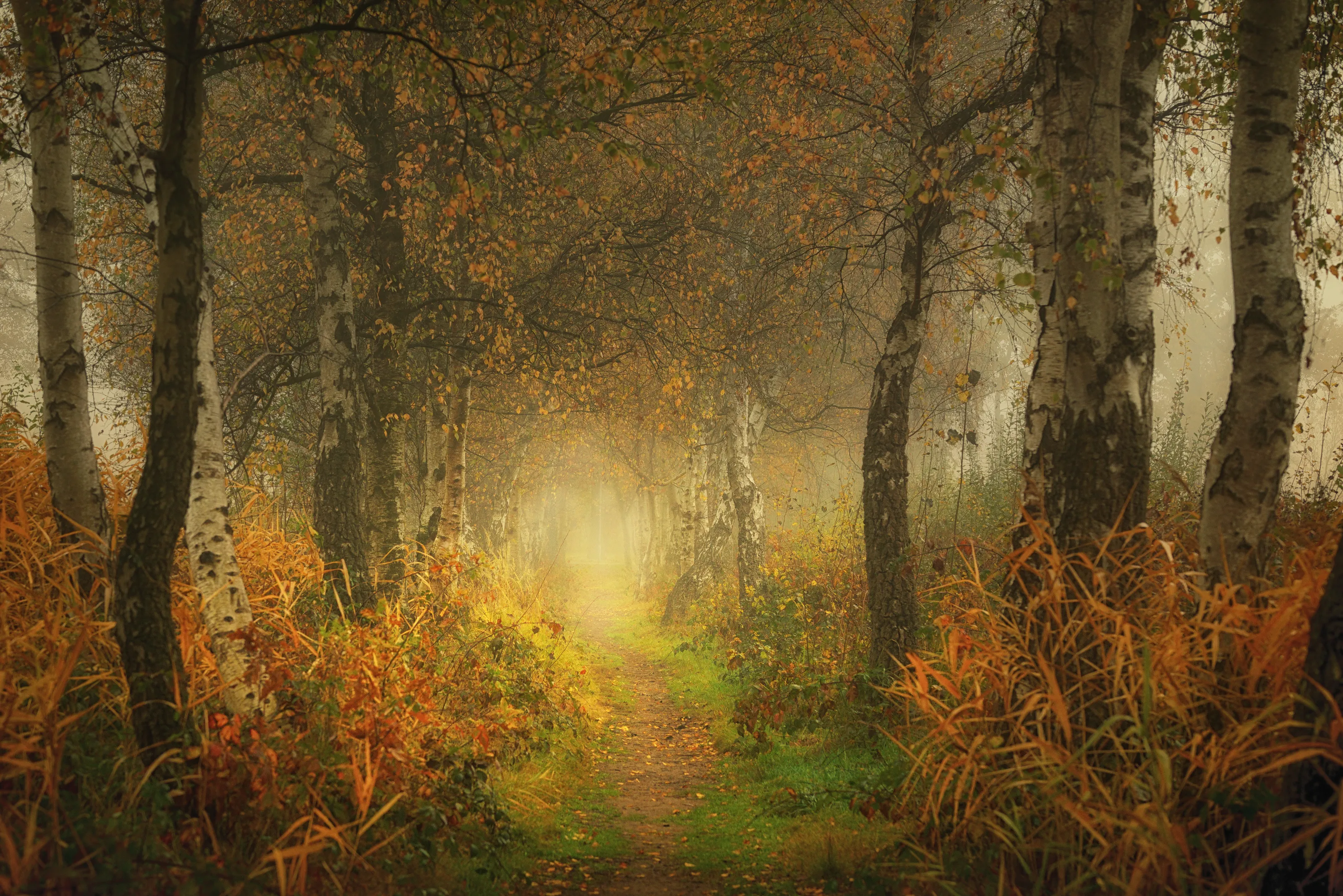 Dreamy Fairytale-Like Editing Effects