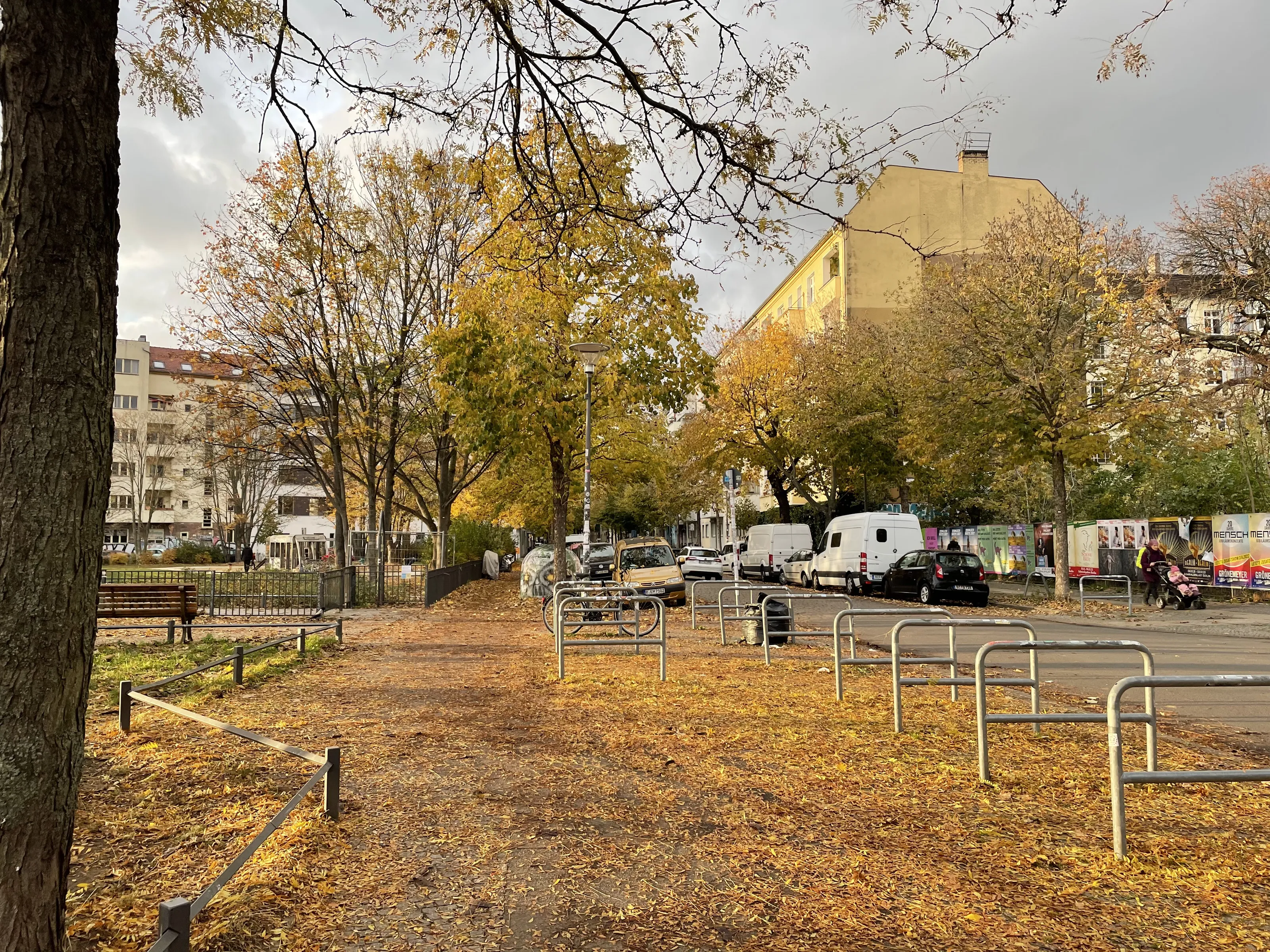 Autumn in the City