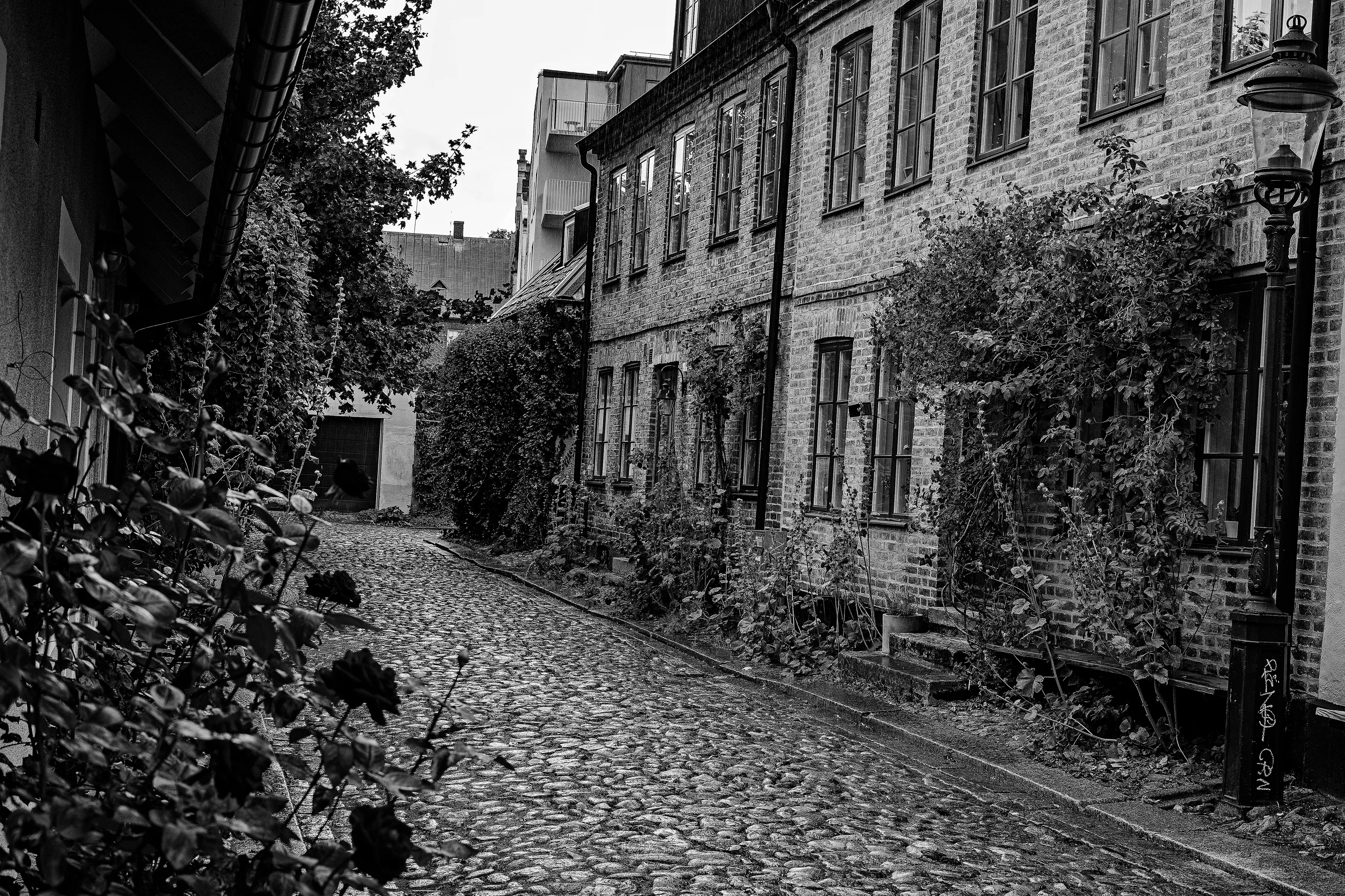 Scandinavian Residential Streets in Black & White