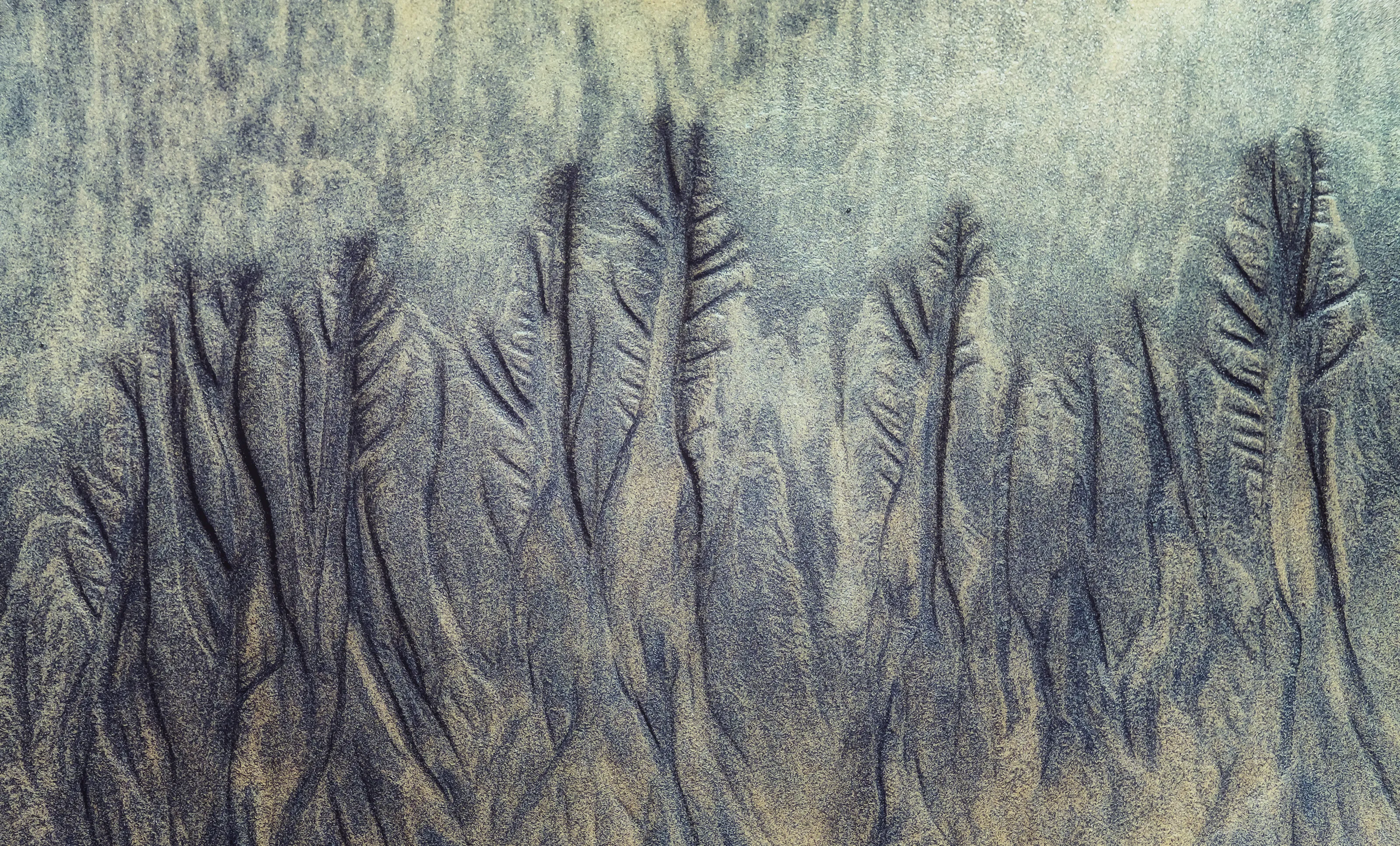 Creations in Sand
