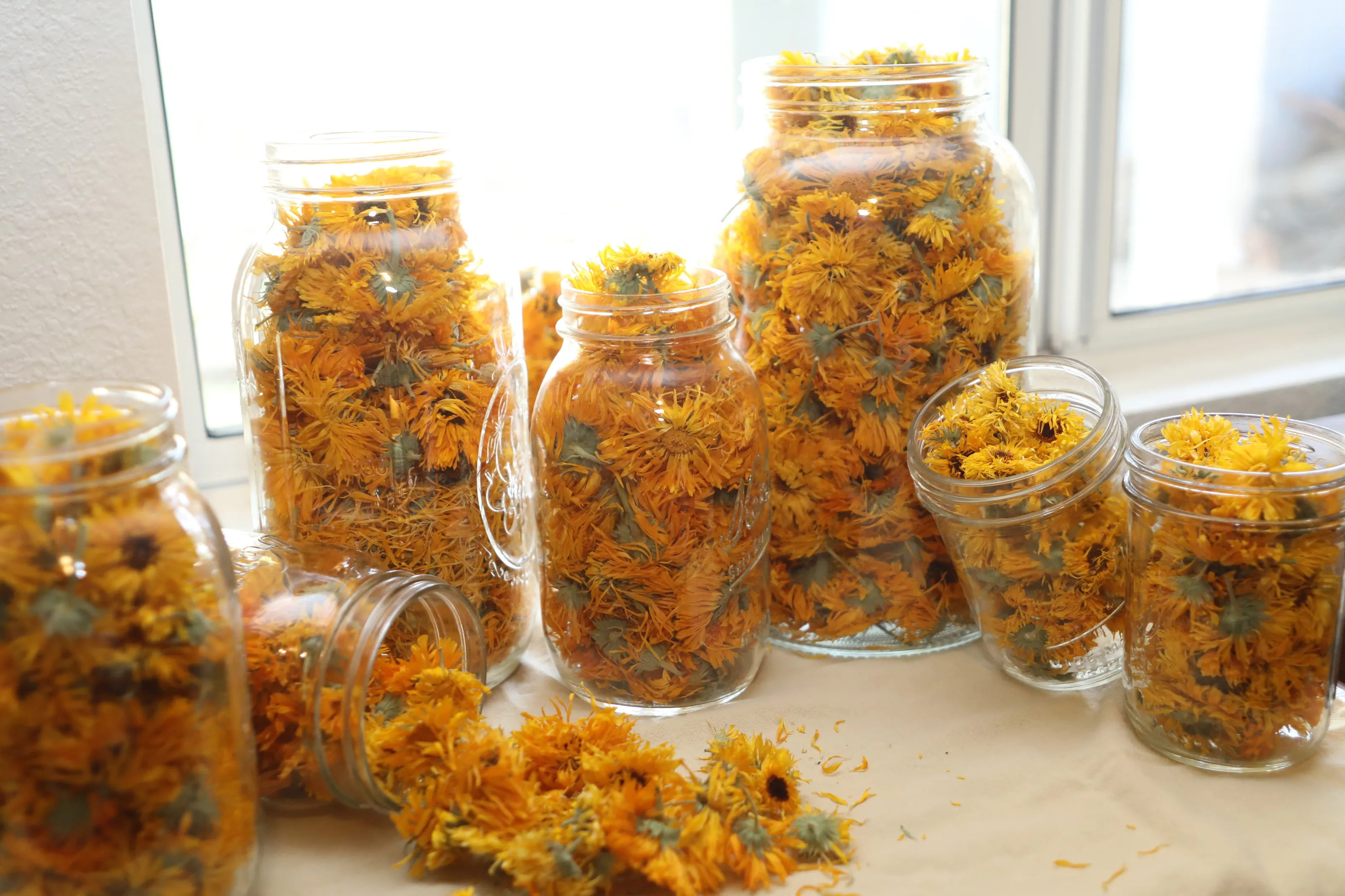 Glass Containers