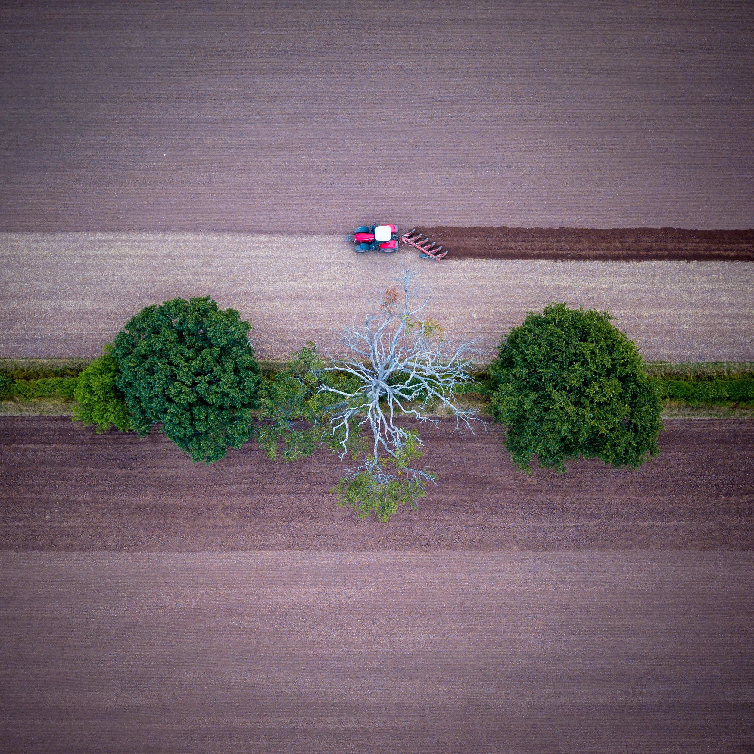 Drone Photography