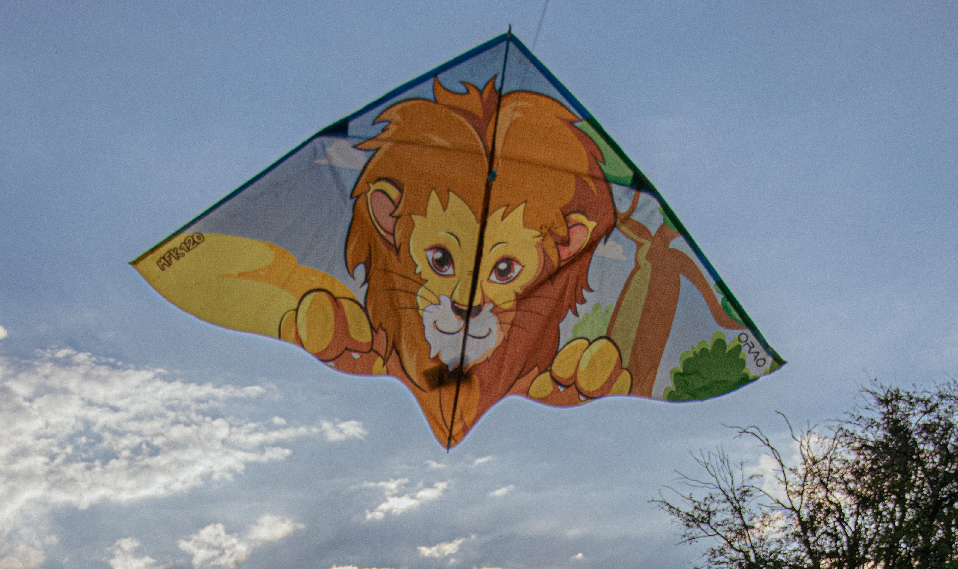 Kites (not the bird)