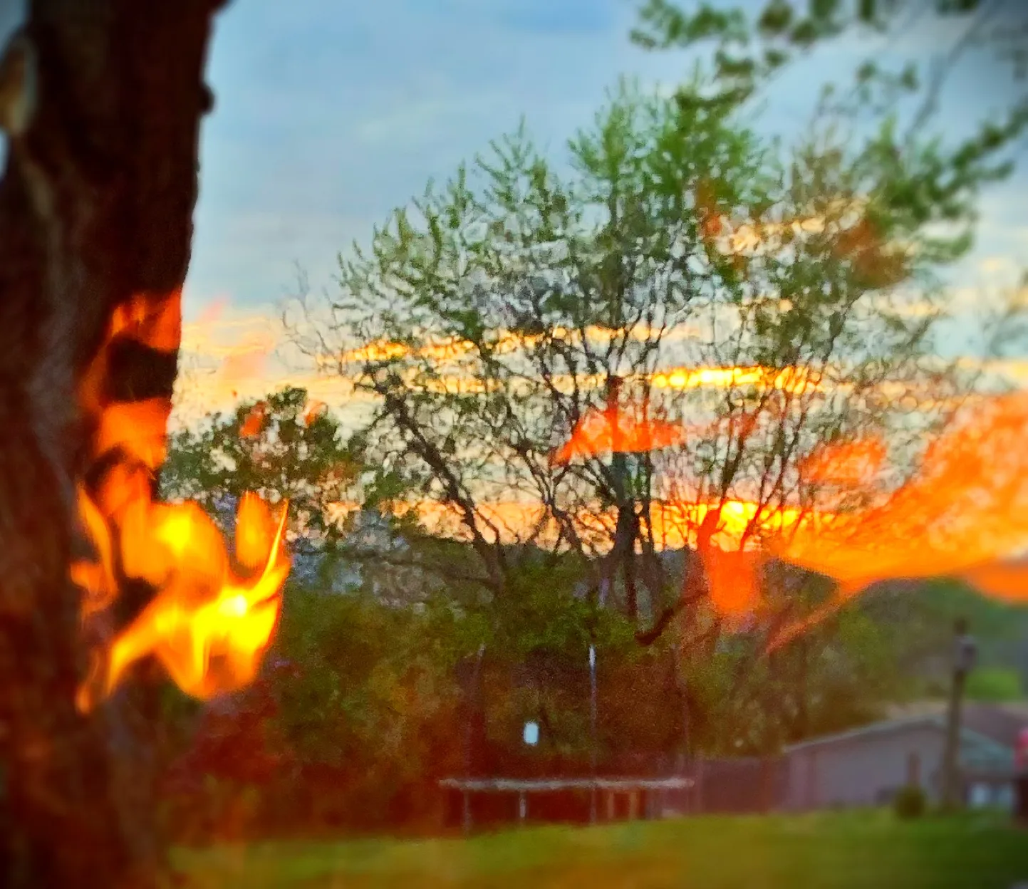 Beautiful Fire (in colour)
