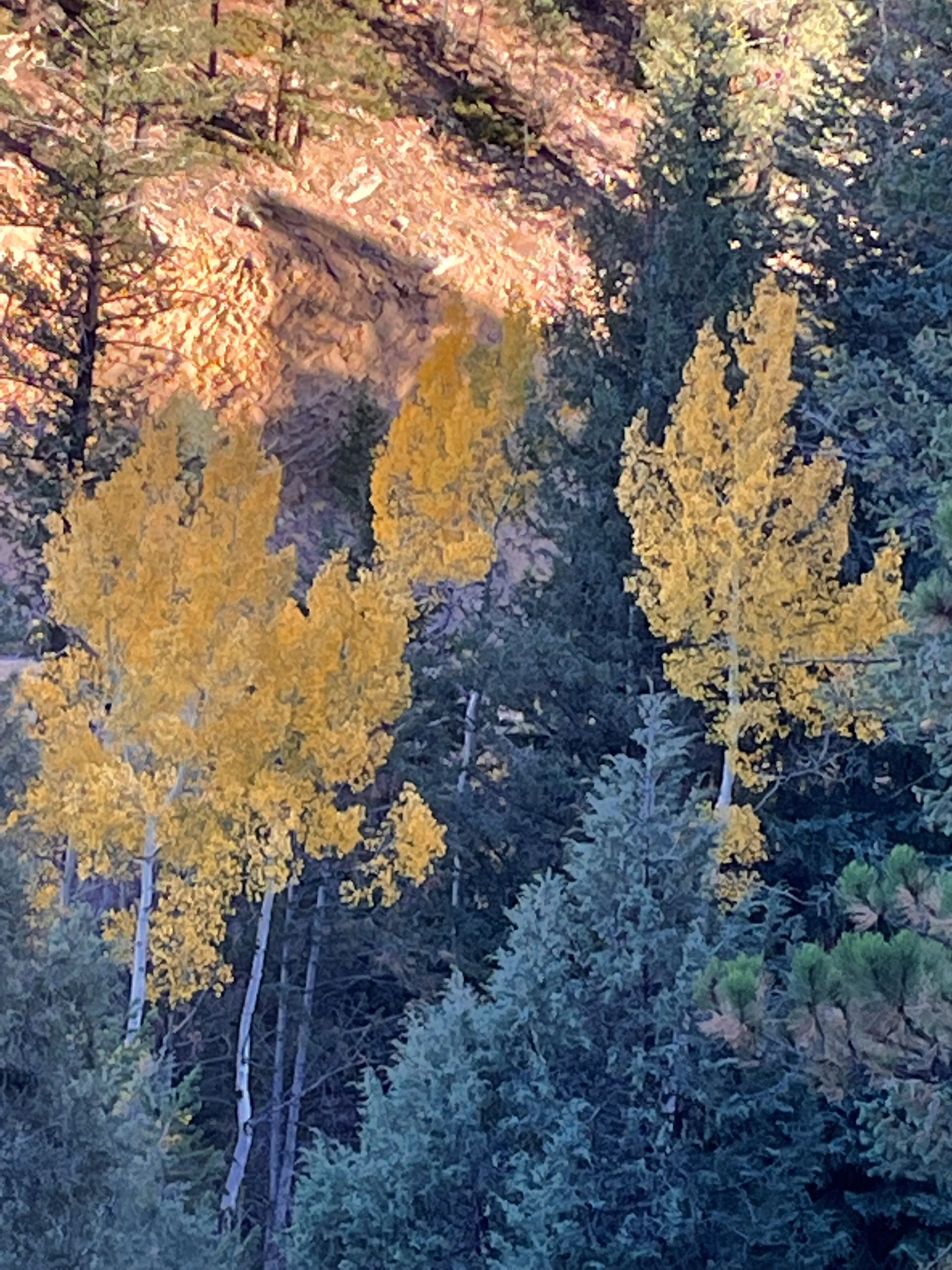 The Colour Yellow in Nature
