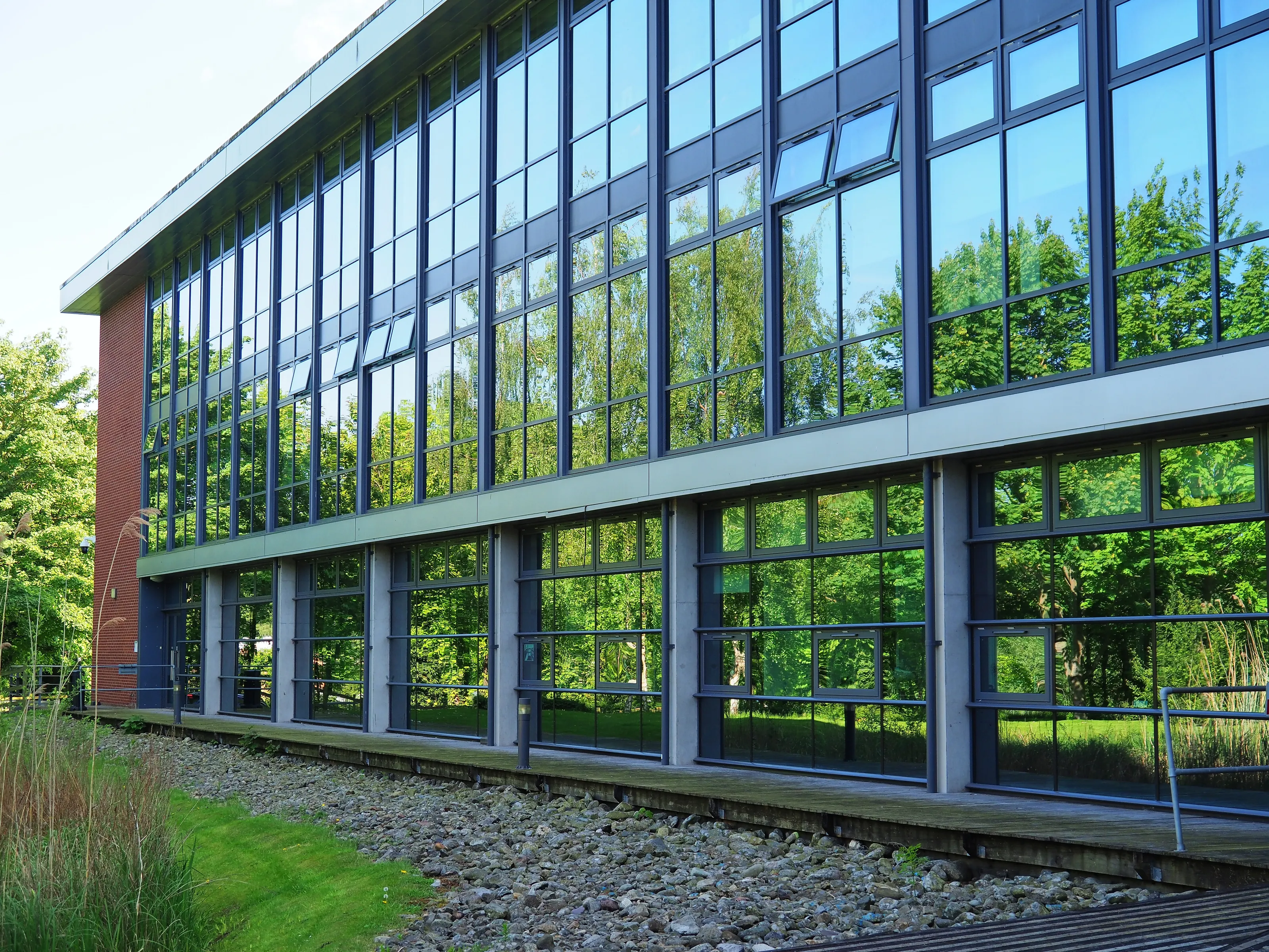 Reflections in Windows