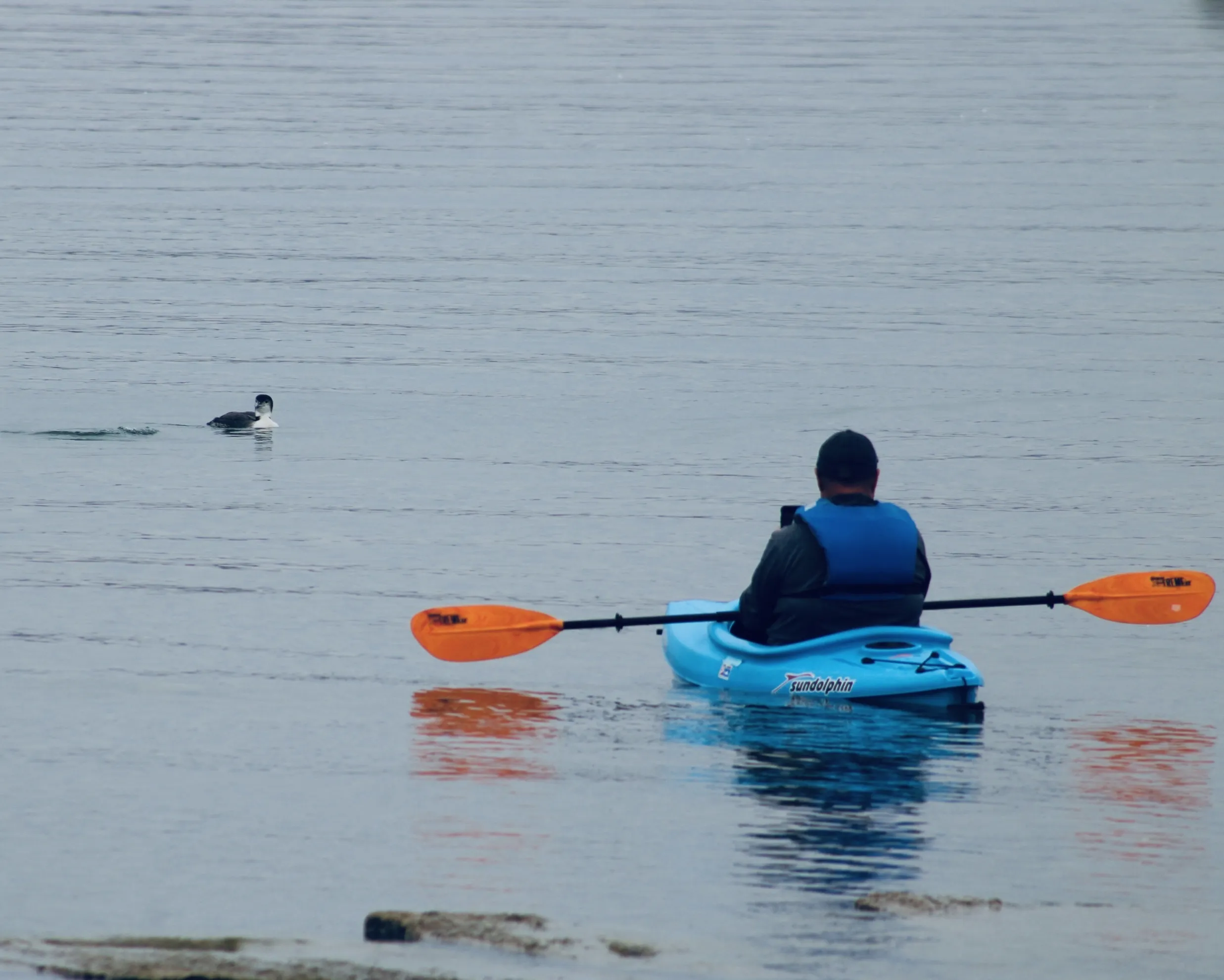 Kayaks and Canoes