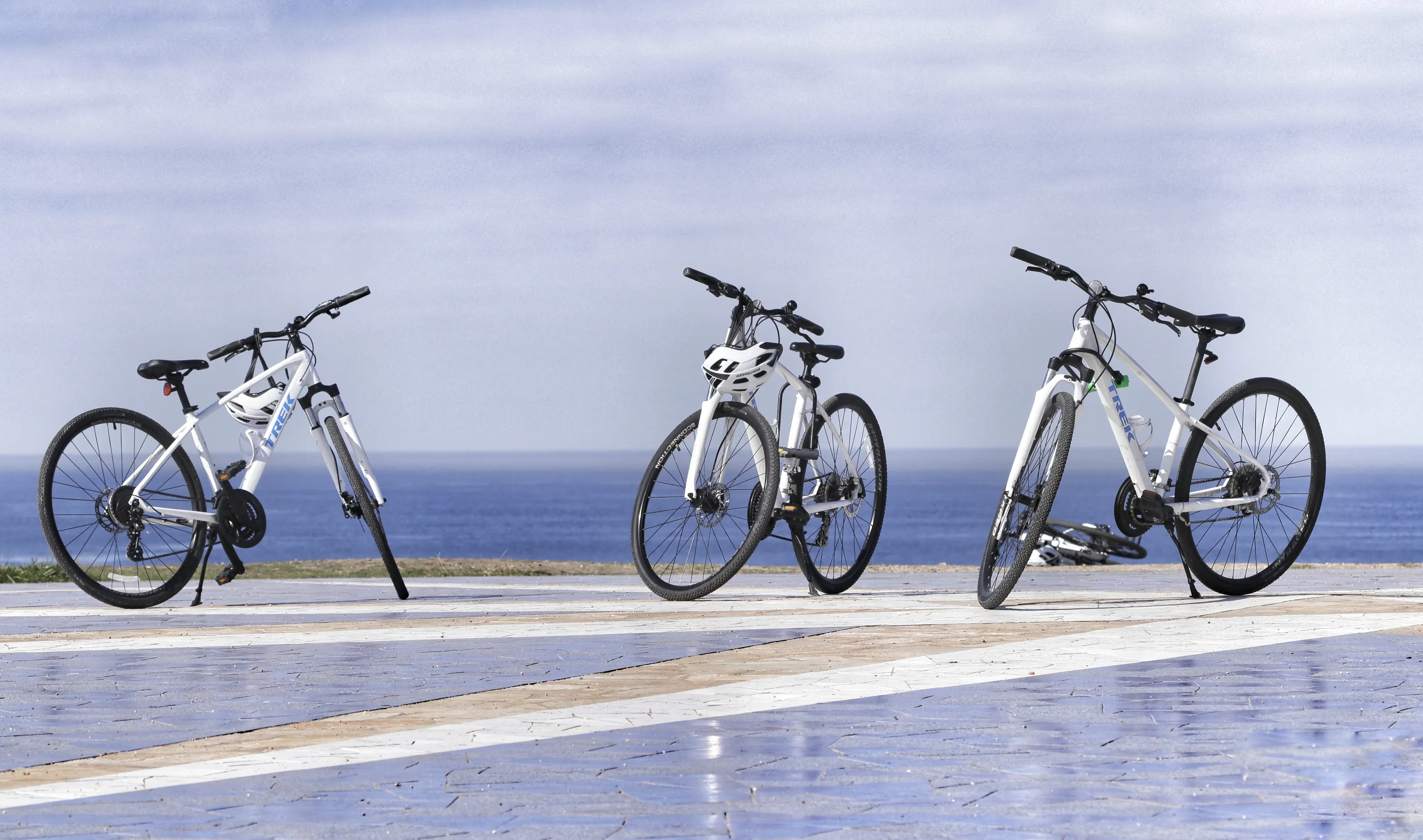 Two-Wheeled Transport
