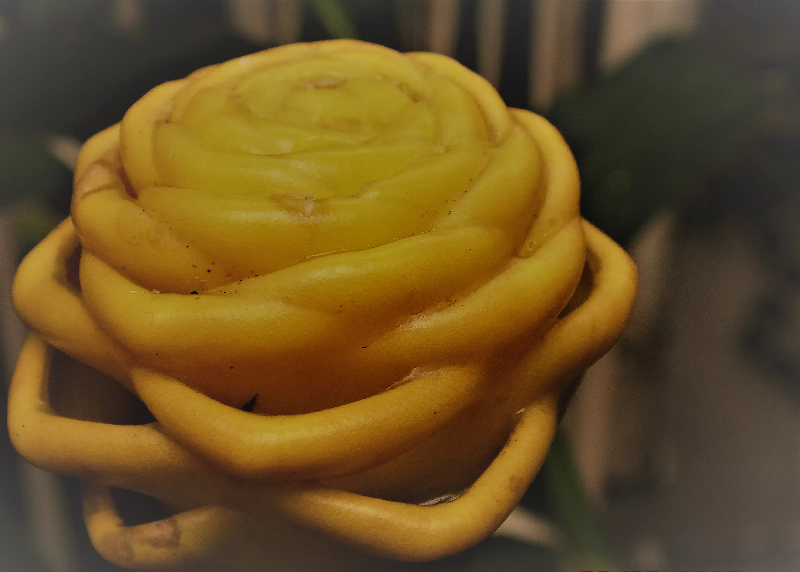 Strange flower