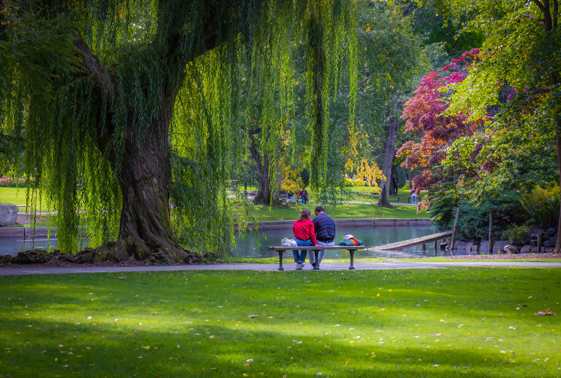 People Enjoying Public Parks and Gardens