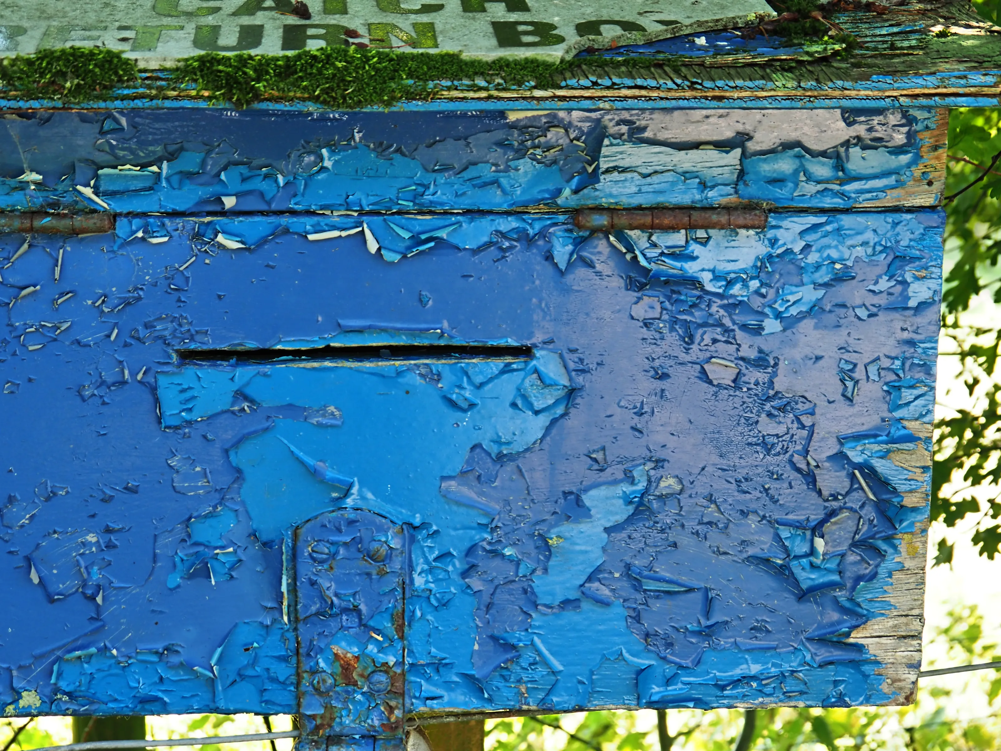 Peeling Paint (in colour)