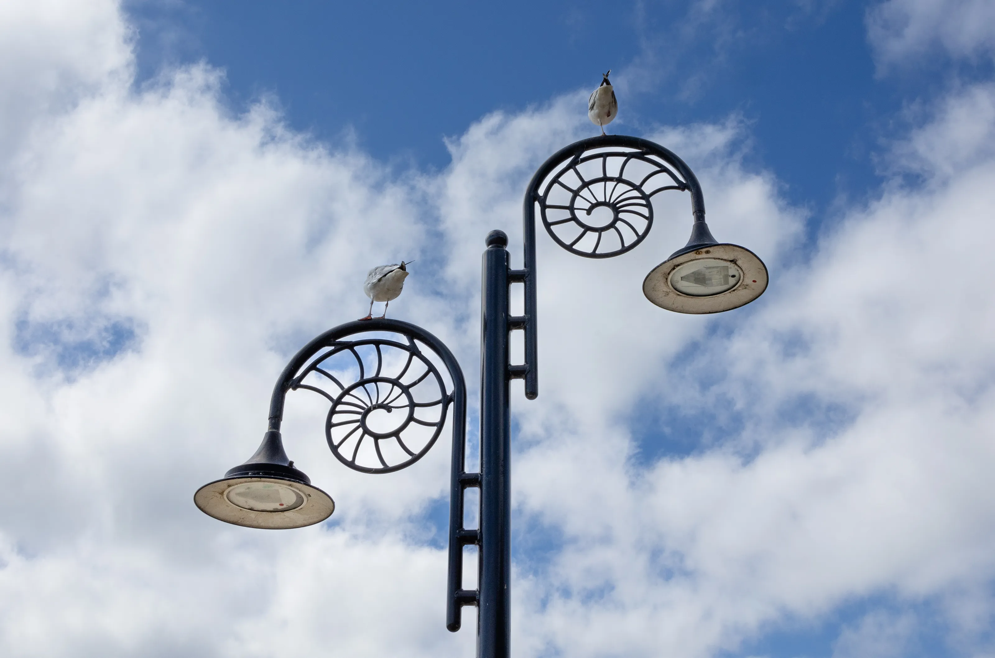 Street Lamps