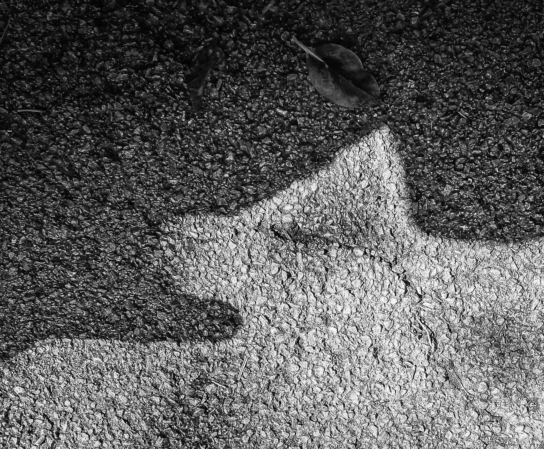 Black and White Abstracts