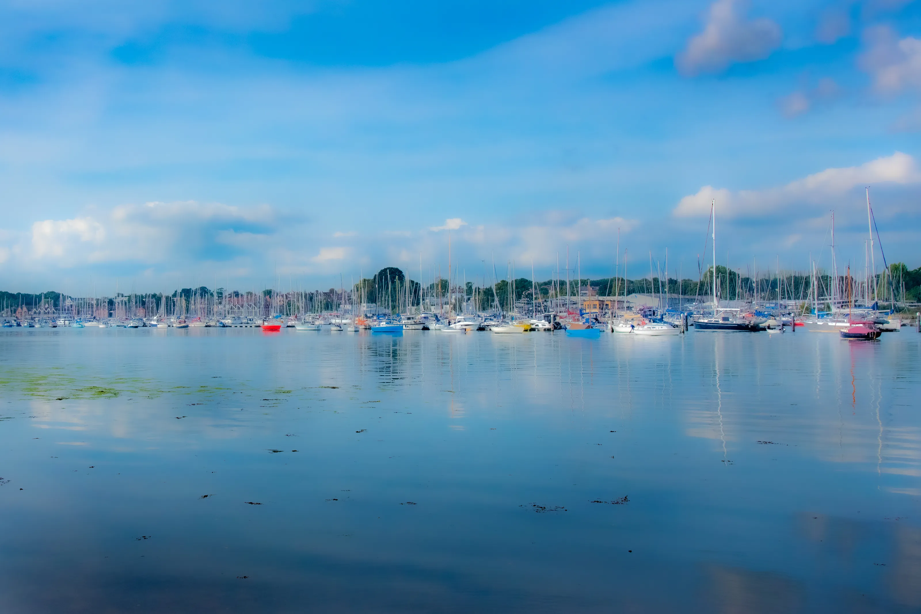 Landscapes and Nature in Soft Focus