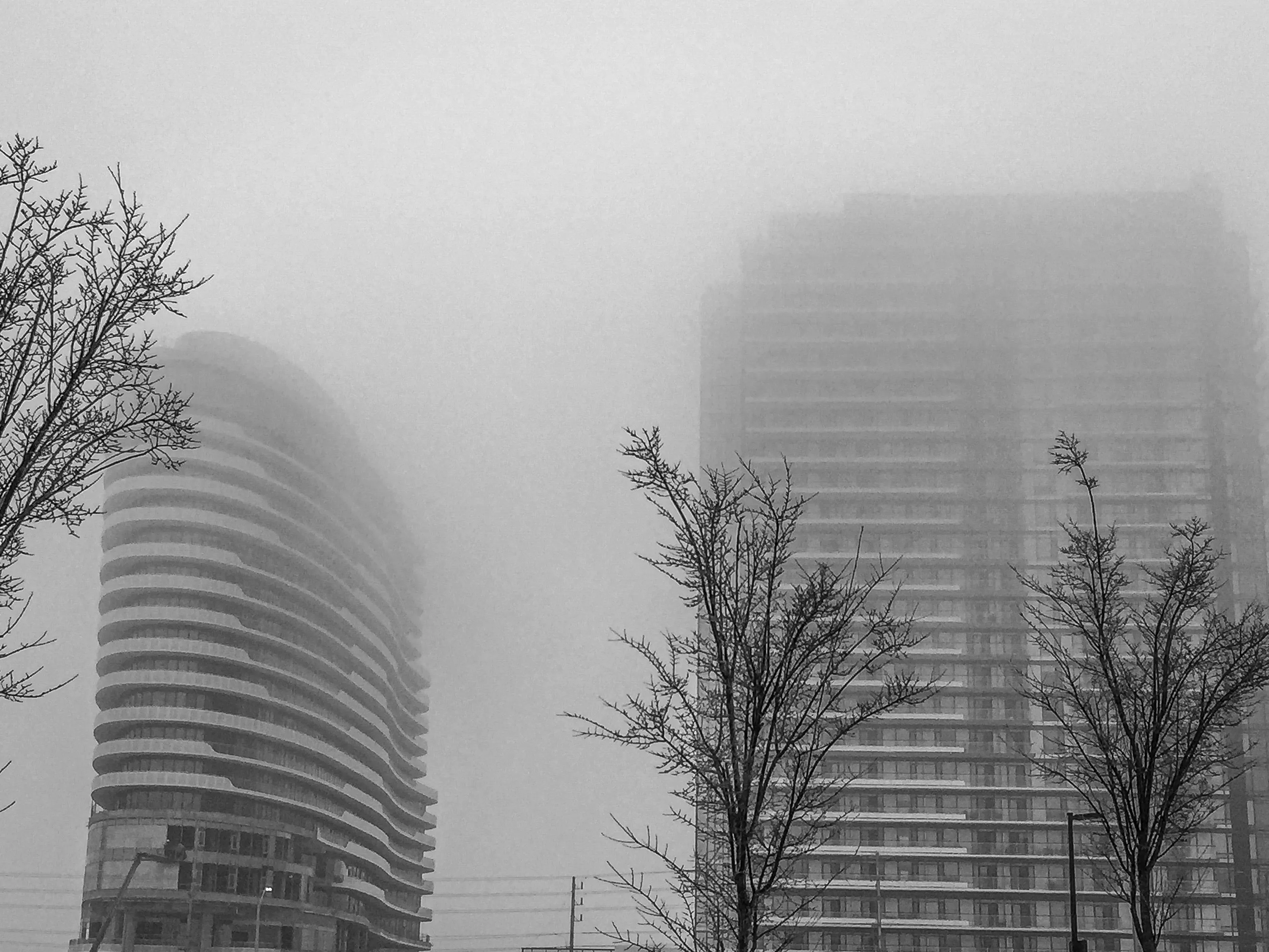 Mist and Fog