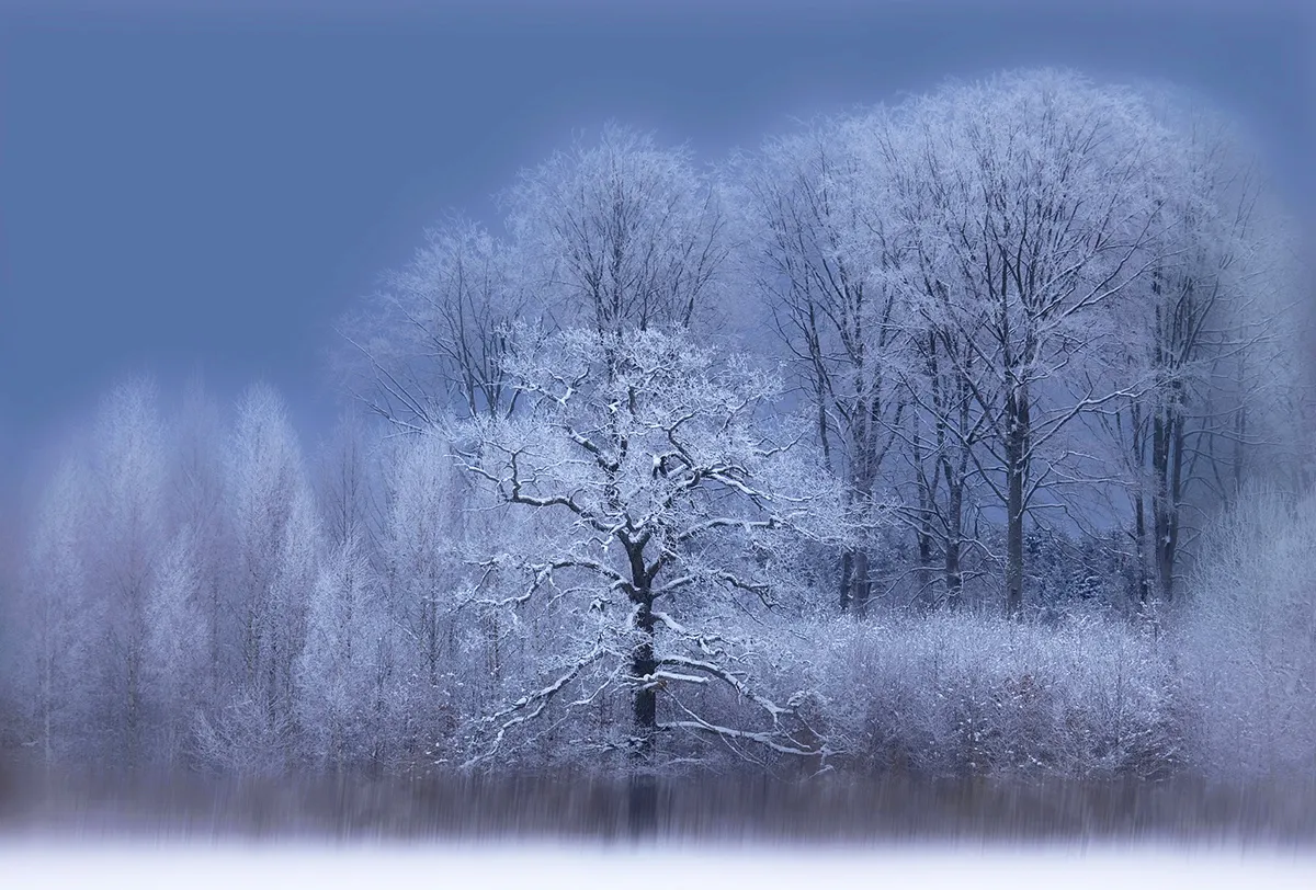 Winter Landscapes (in colour)