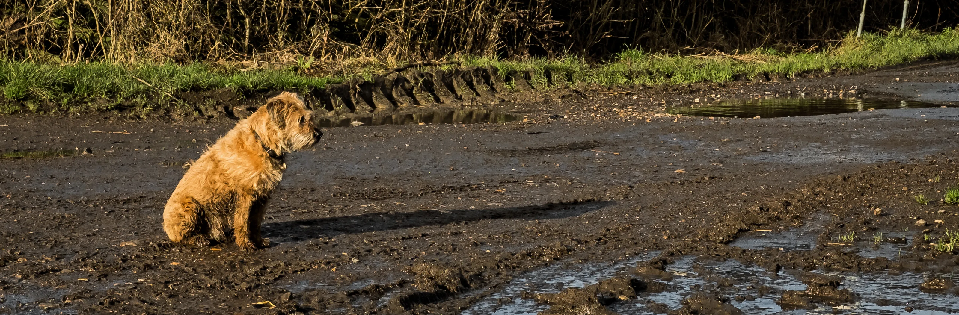 Mud