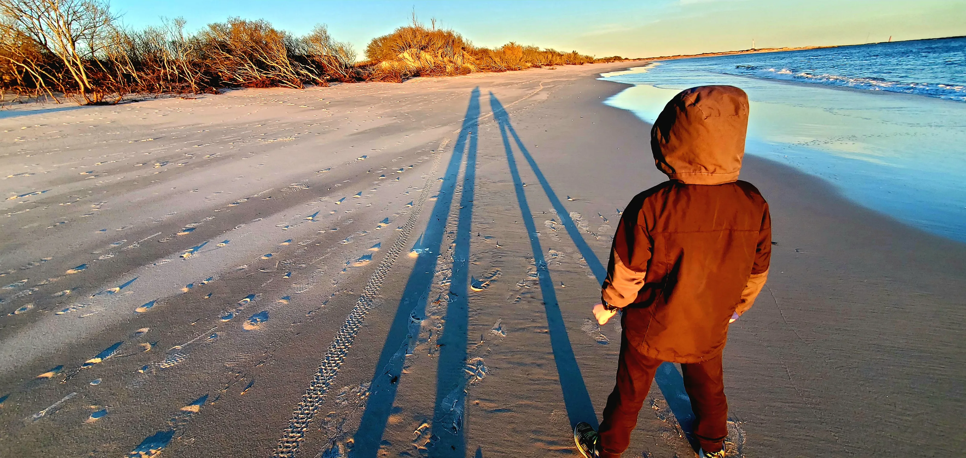 Long Shadows