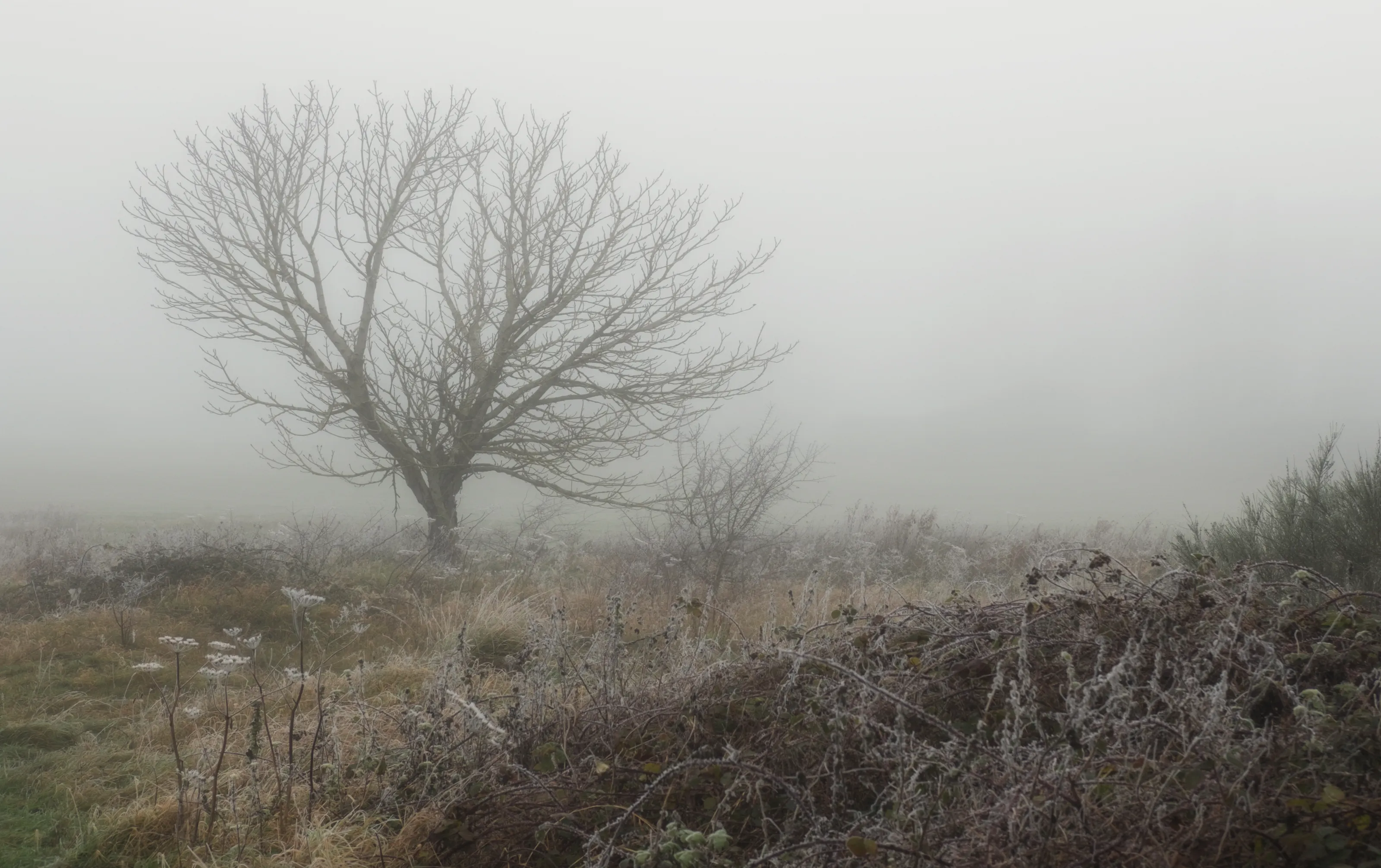 Drab and Dreary