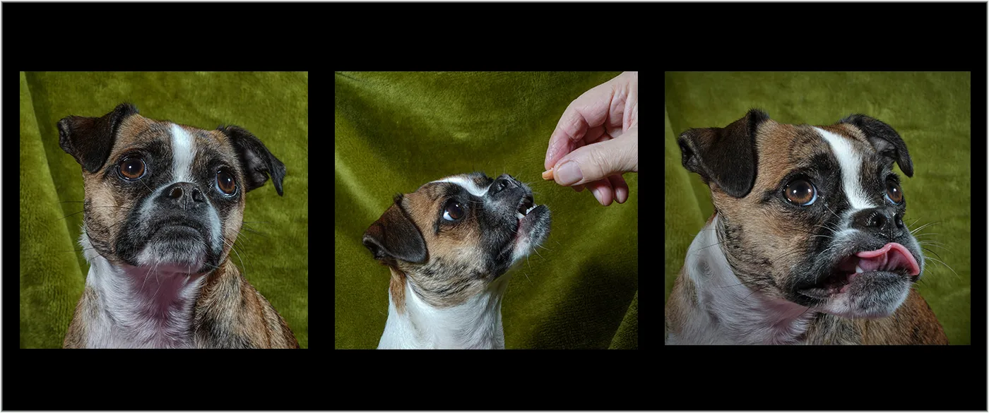 Triptych of the Beginning, Middle and End