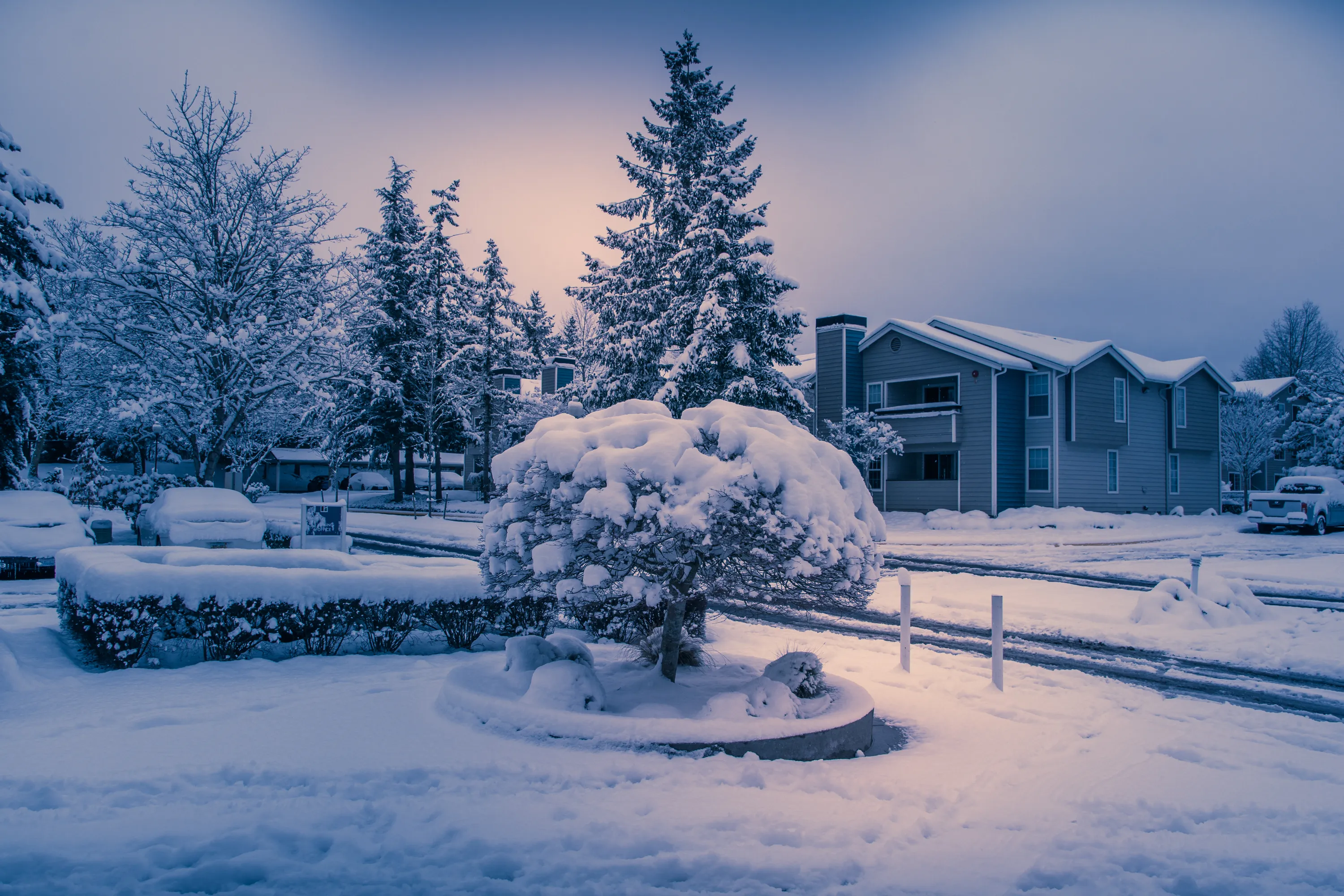 Things Covered with Snow
