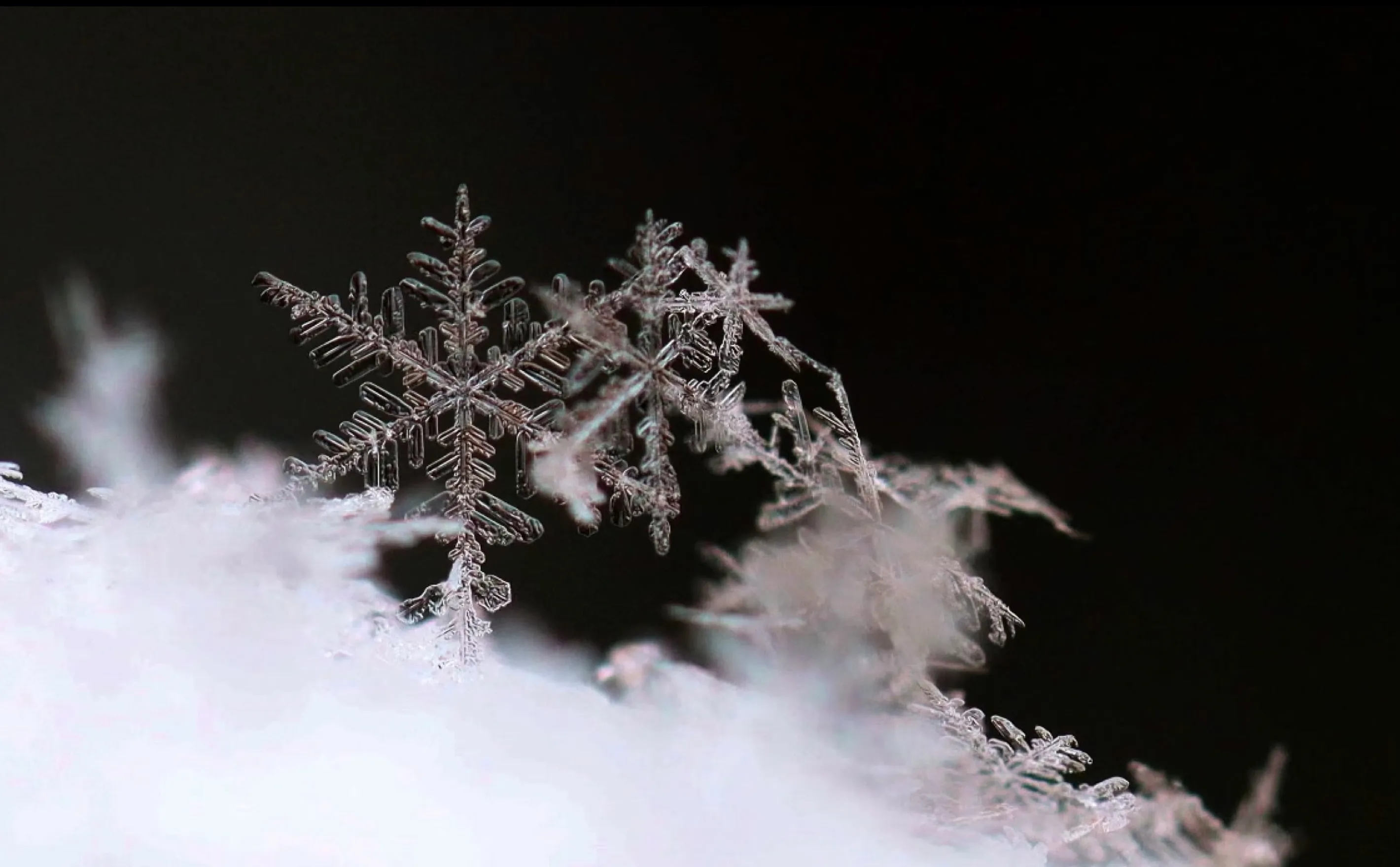 Snowflakes