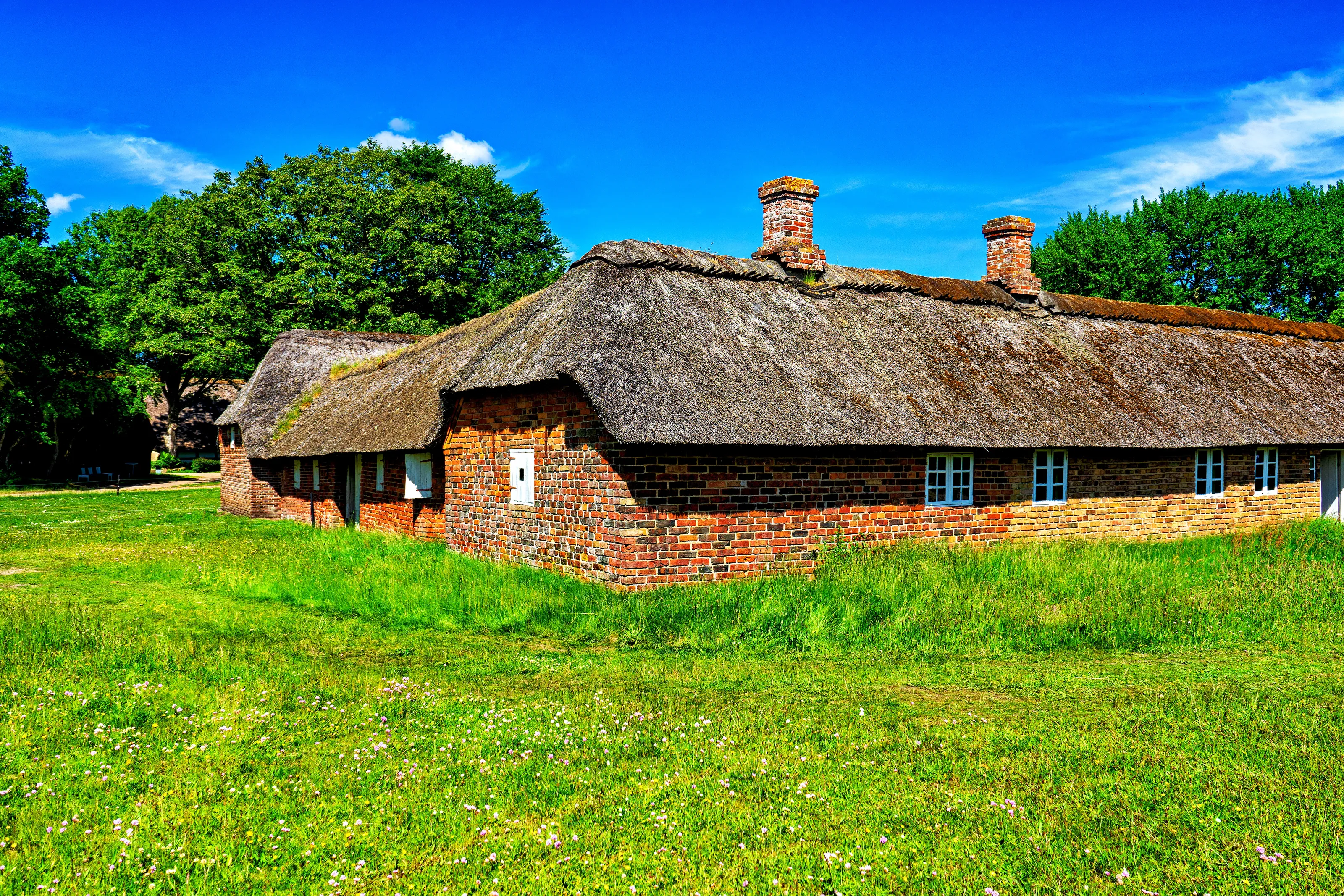 Buildings With Thatched Roofs
