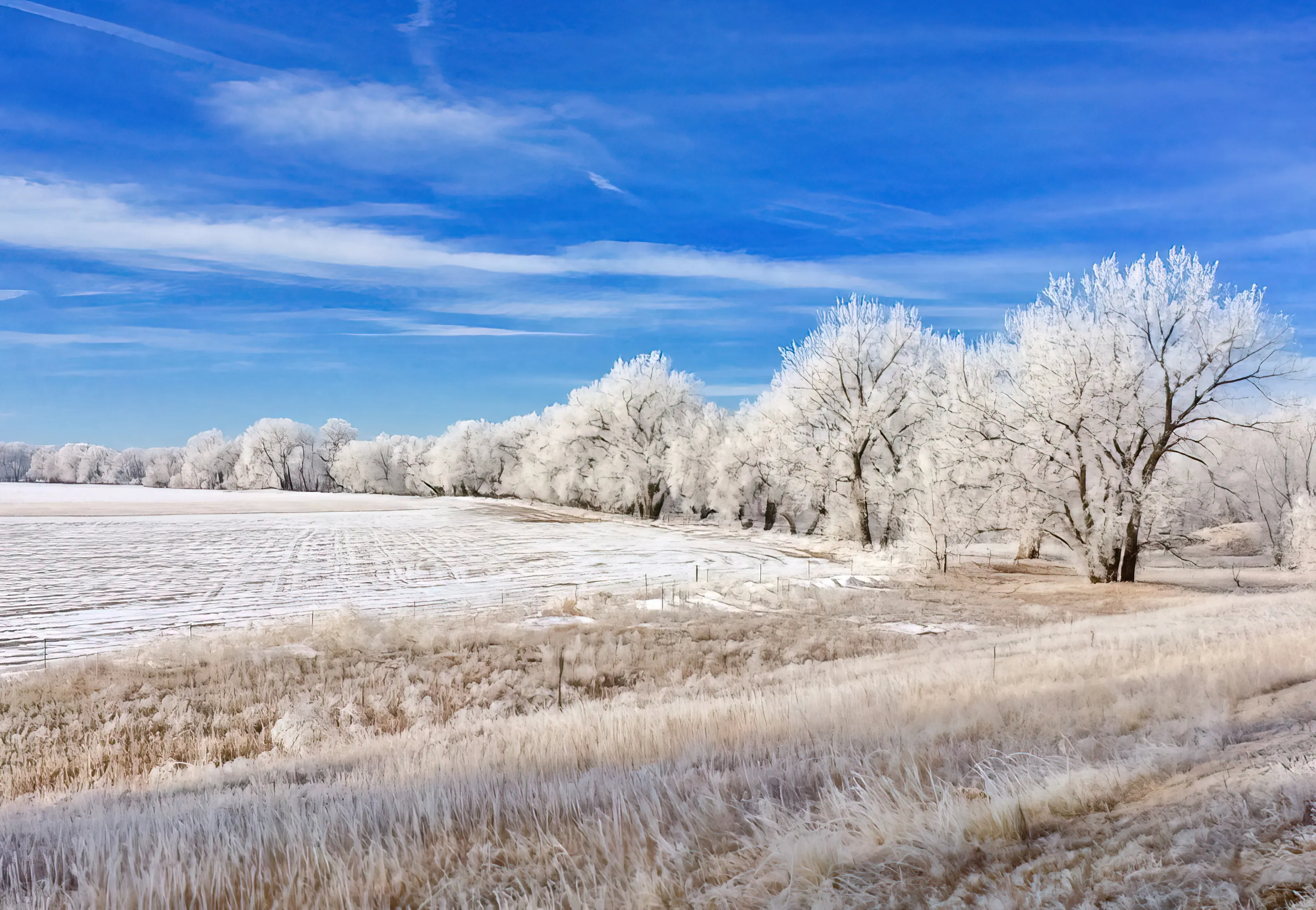 Snowy Landscapes