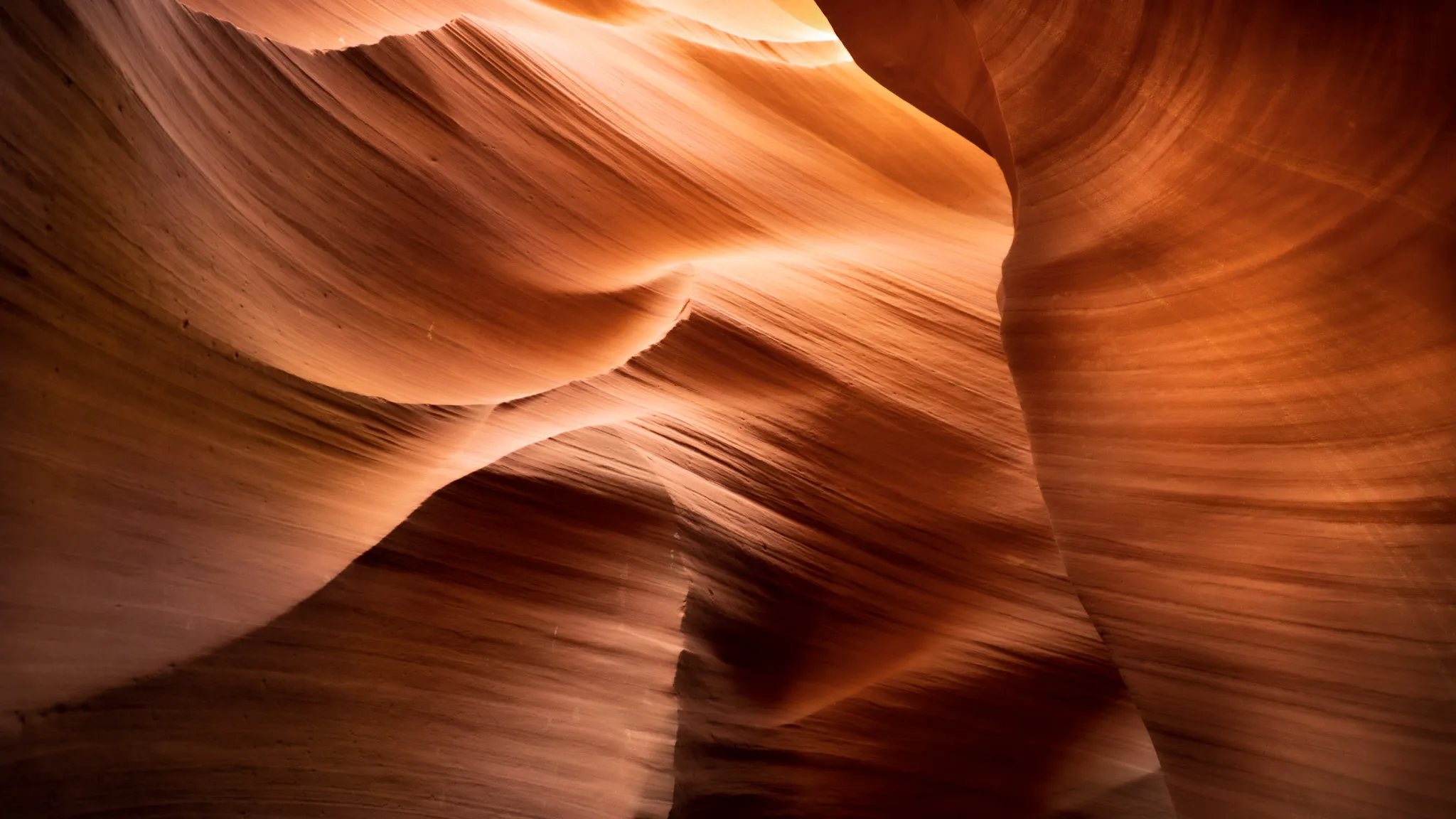Natural Light Wonders