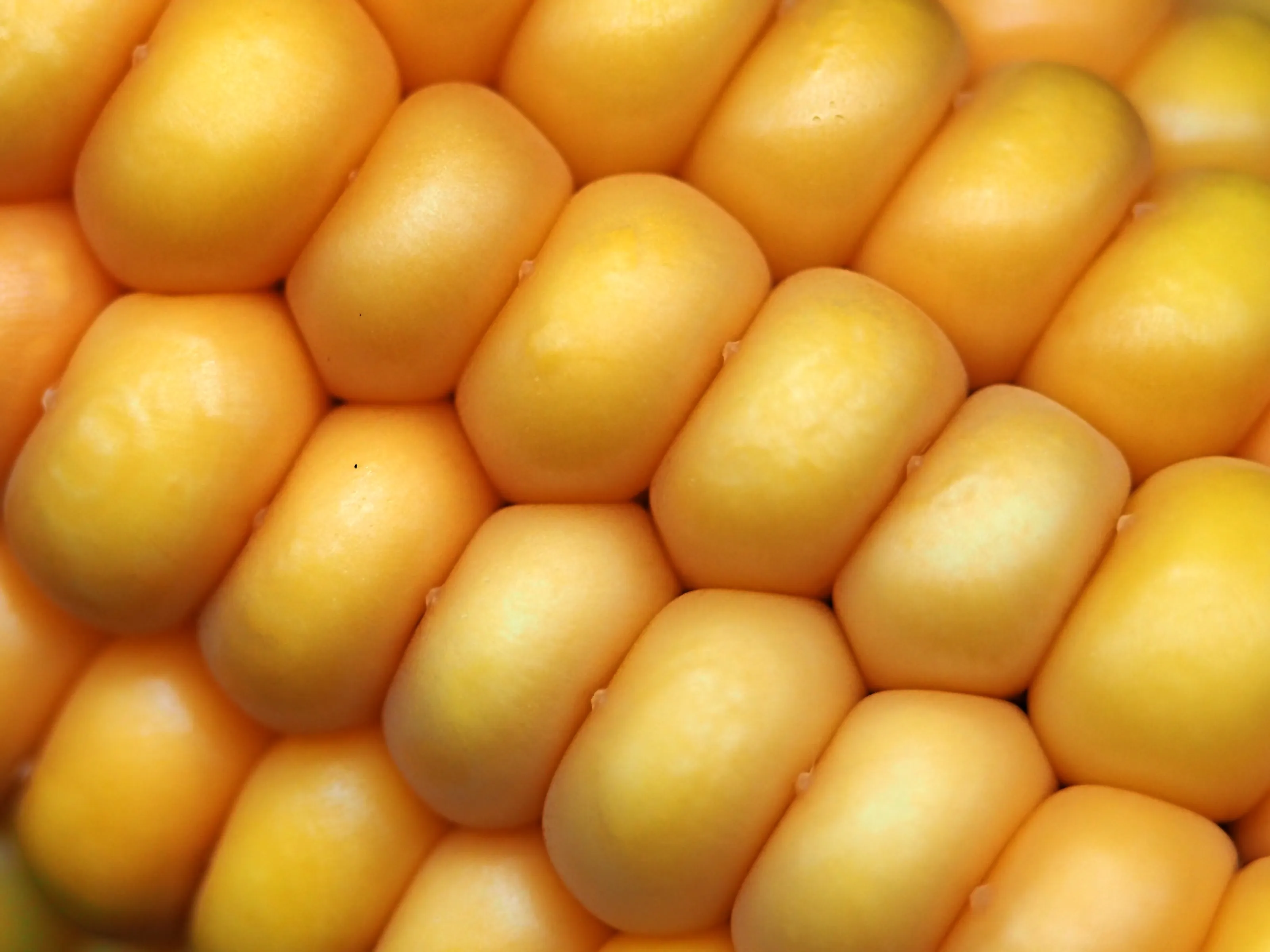 Food Abstracts (in colour)