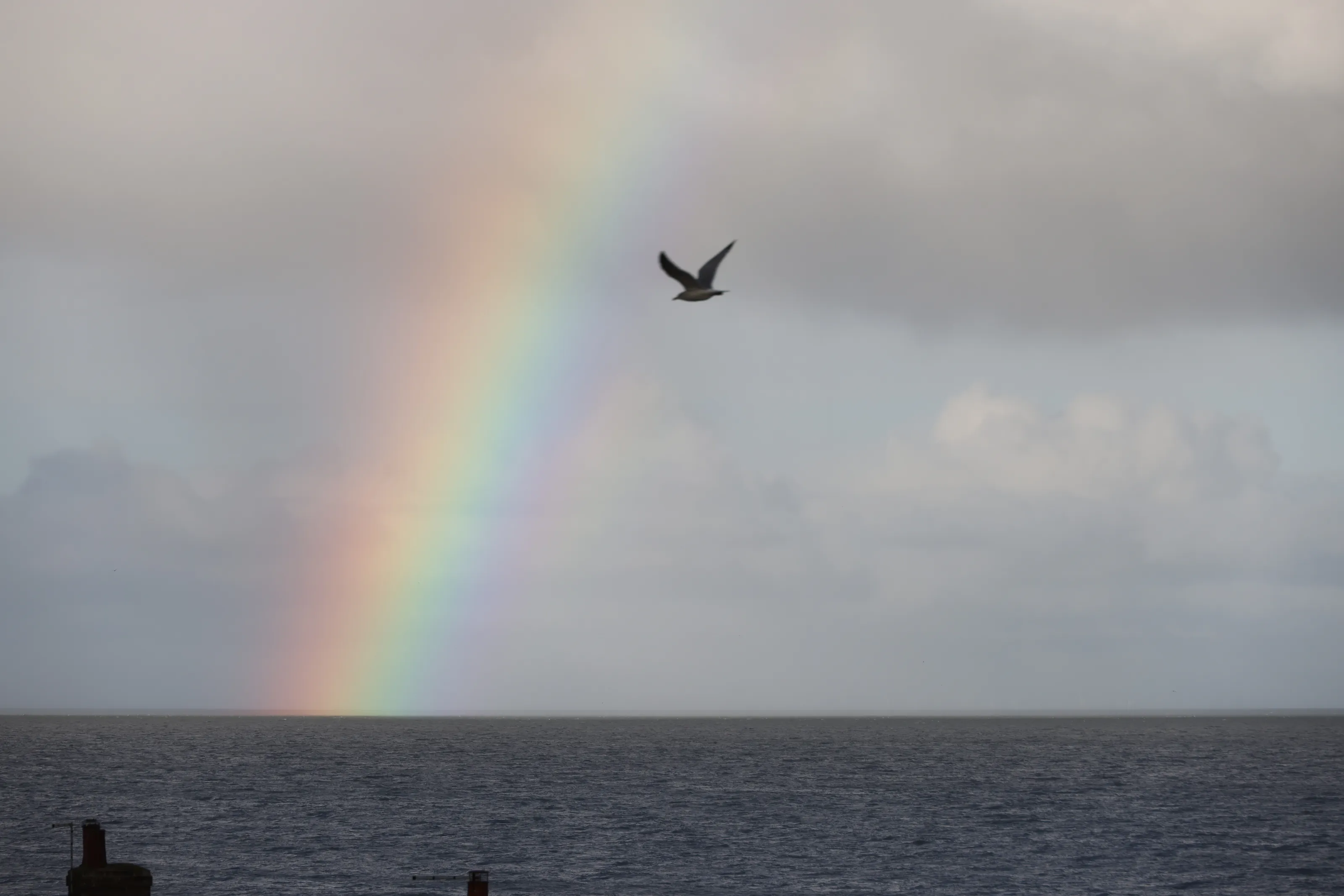 Rainbows (in colour)