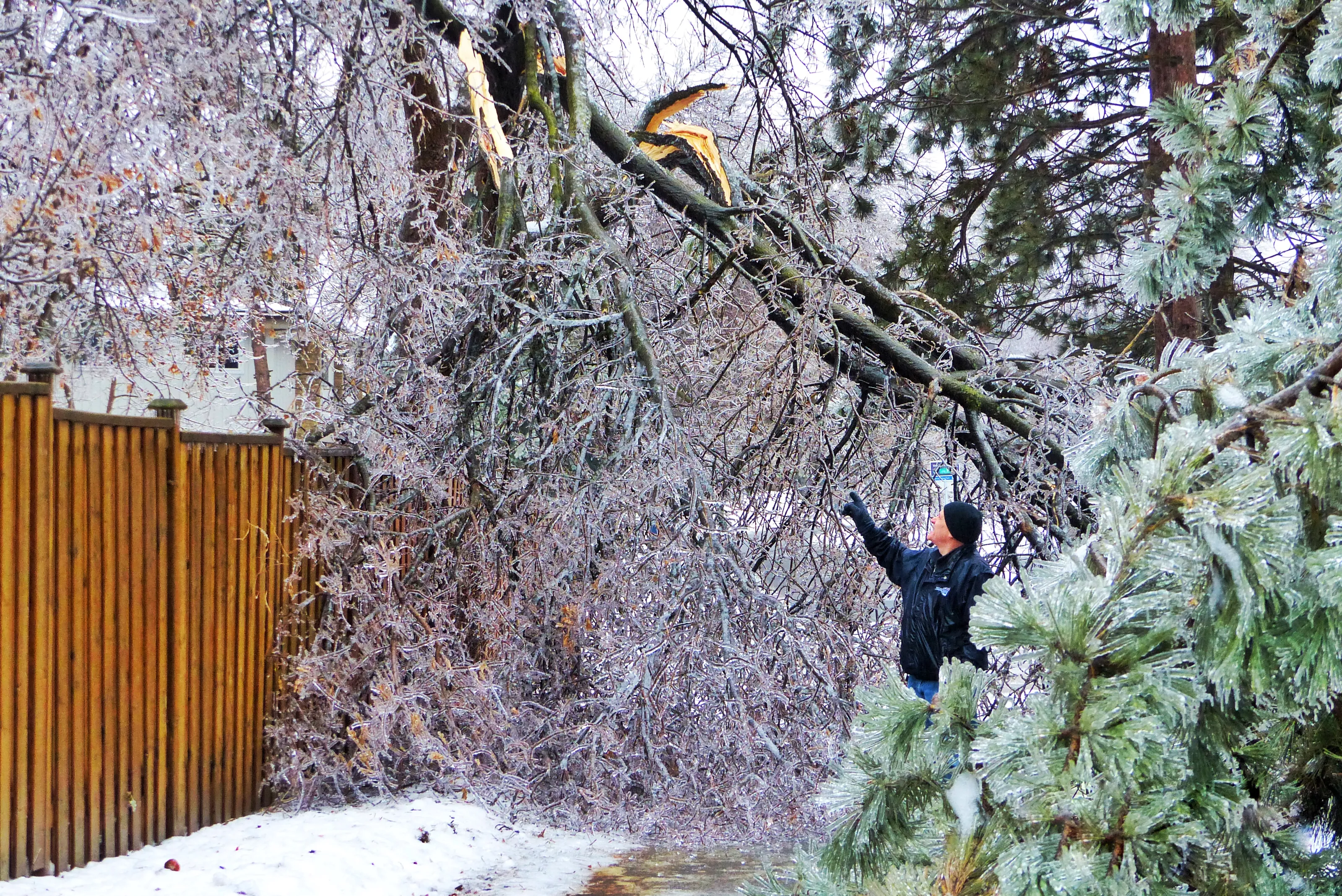 Winter Storms