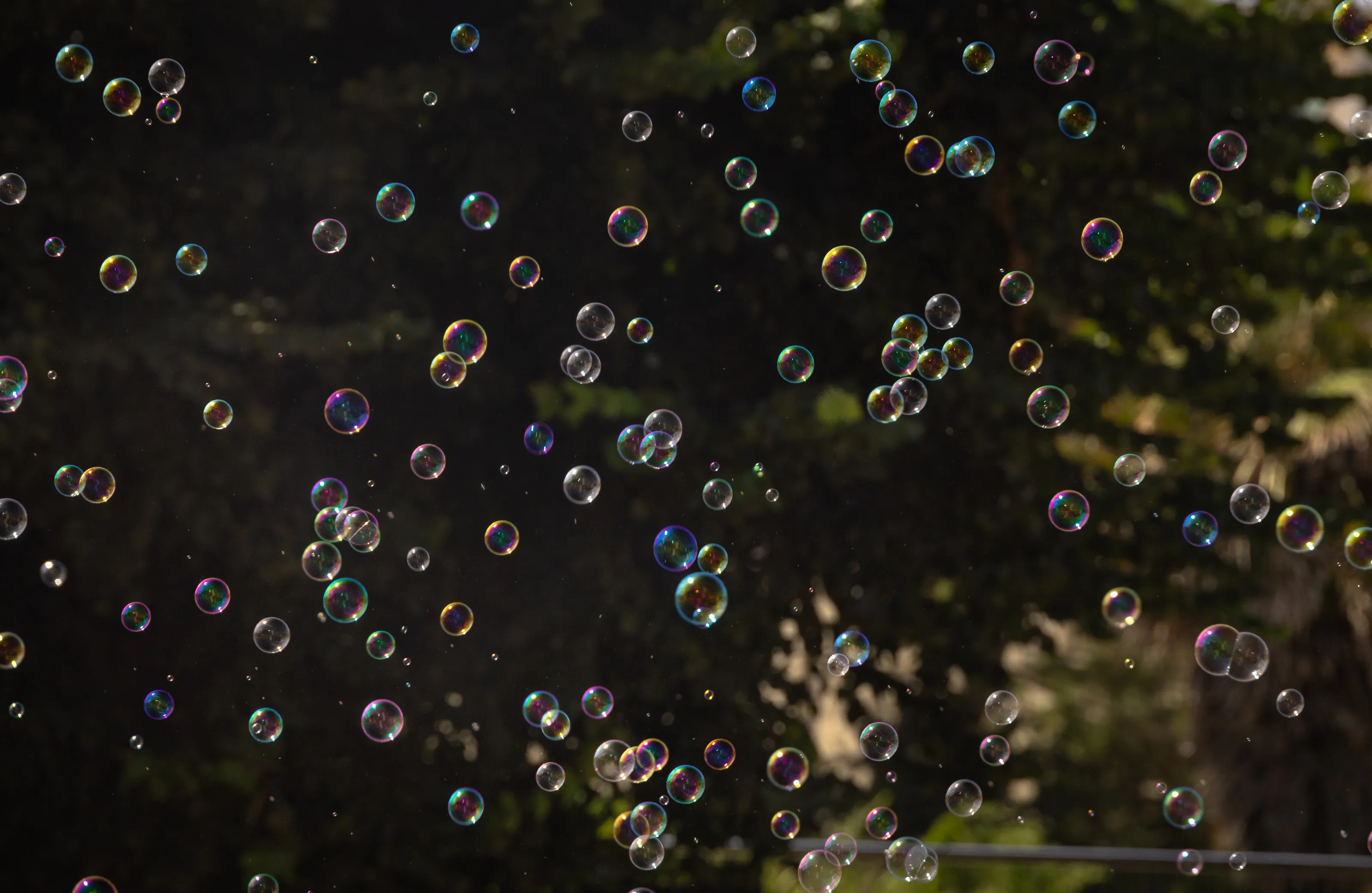 Bubbles (in colour)