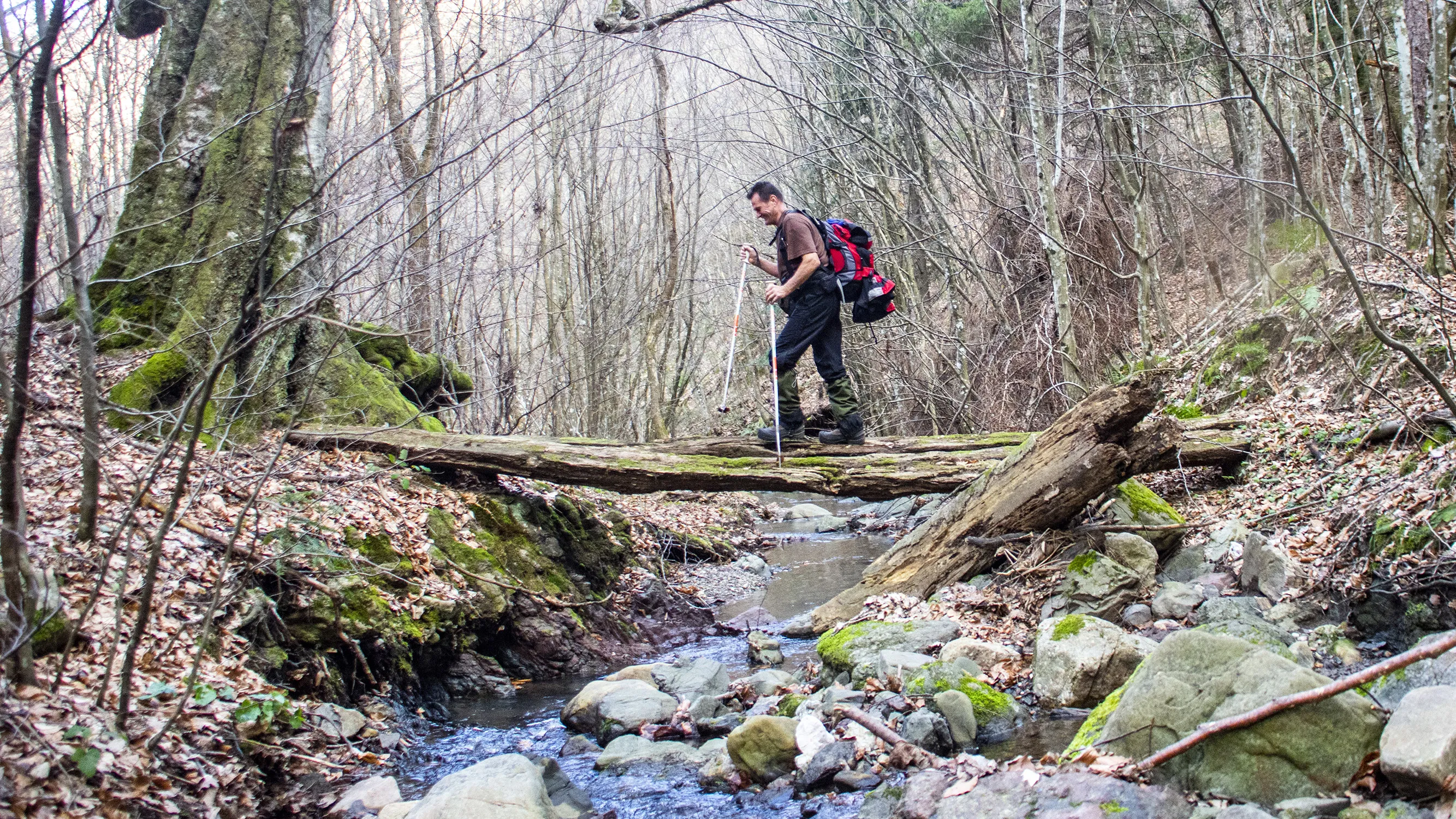 Hiking Trails