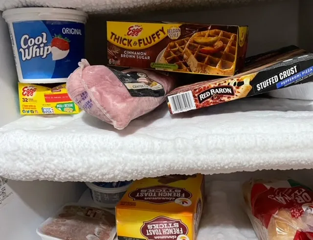 The Inside of a Refrigerator or Freezer